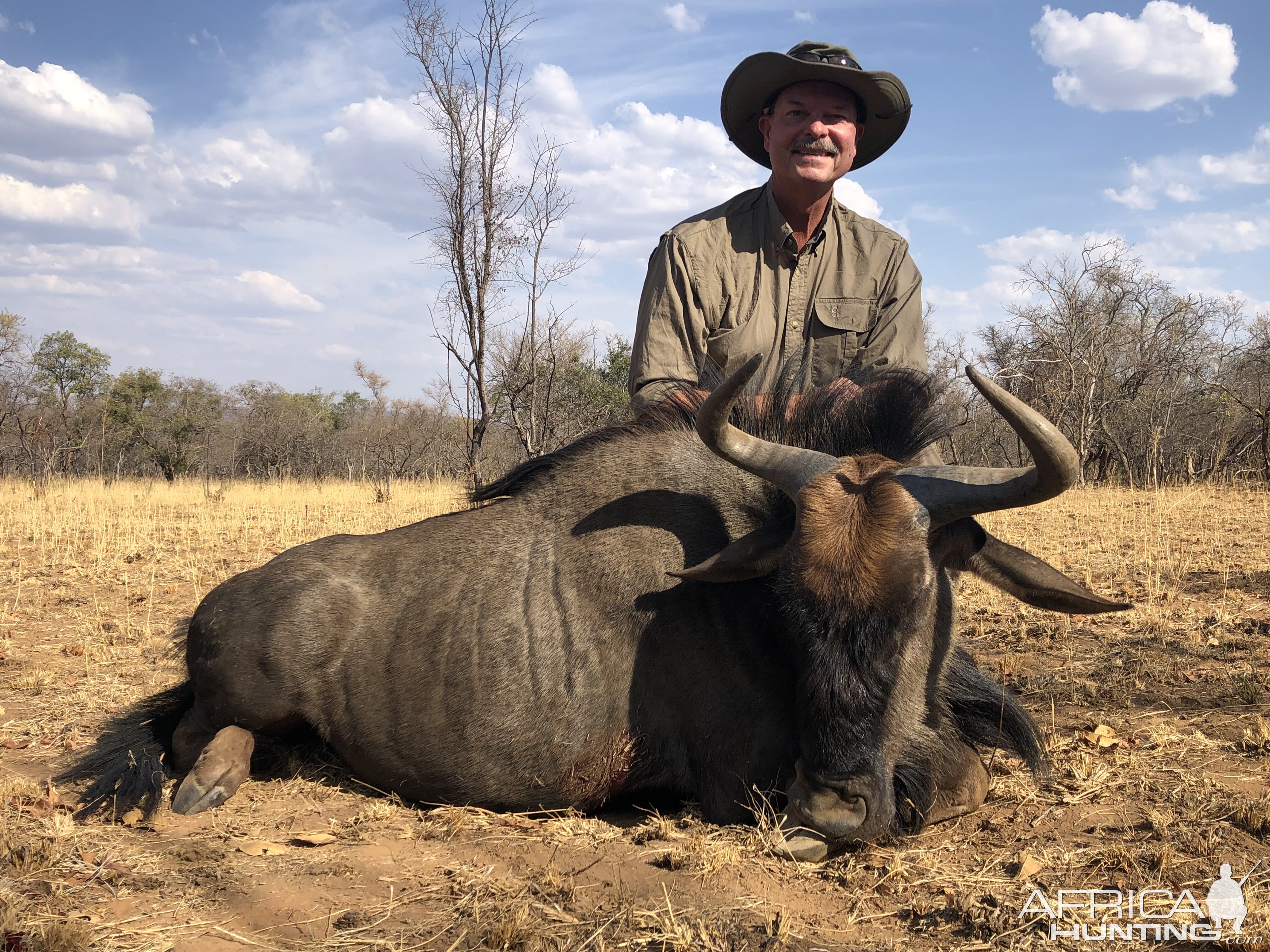 Blue Wildebeest Hunting South Africa