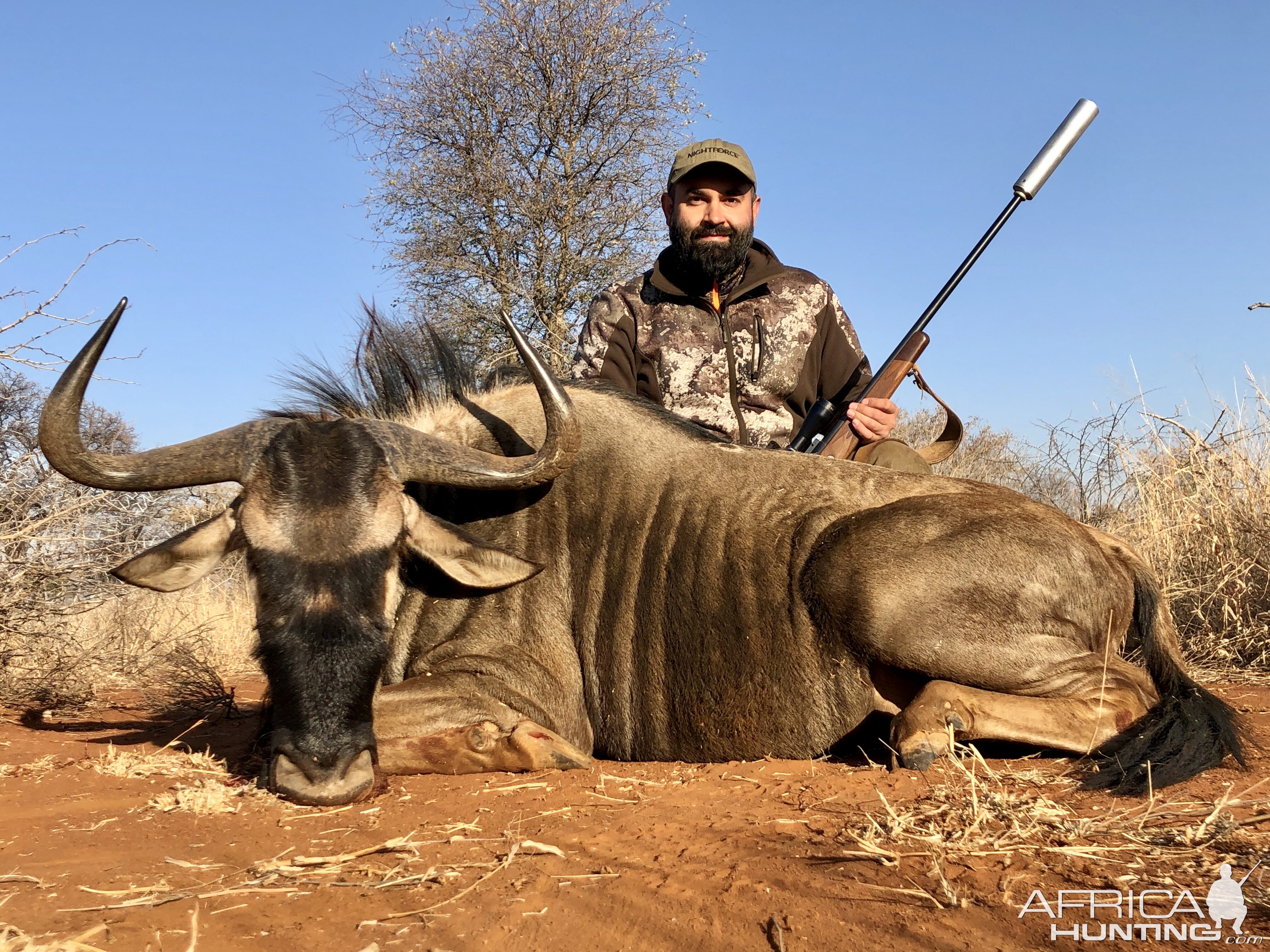 Blue Wildebeest Hunting South Africa