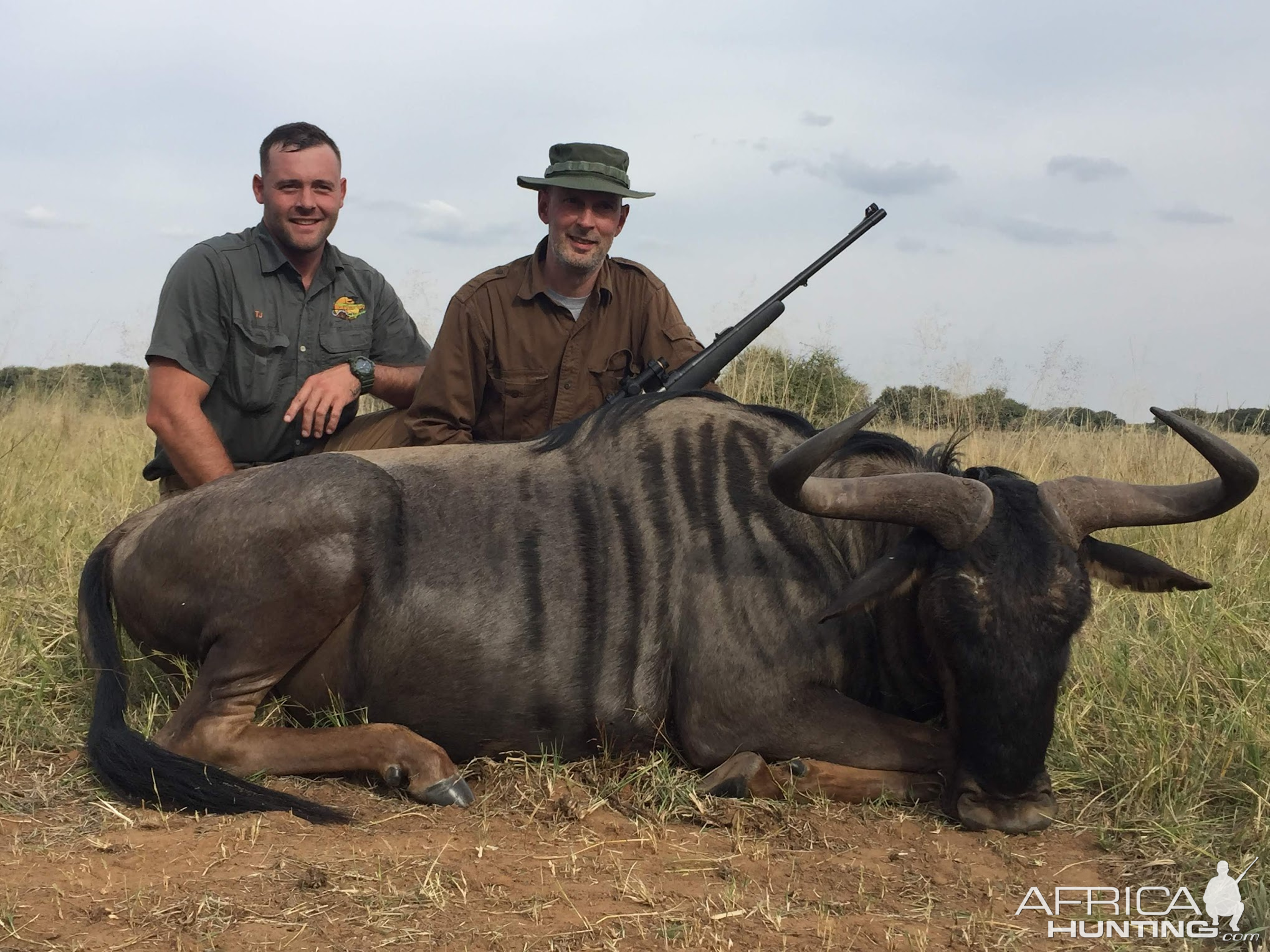 Blue Wildebeest Hunting