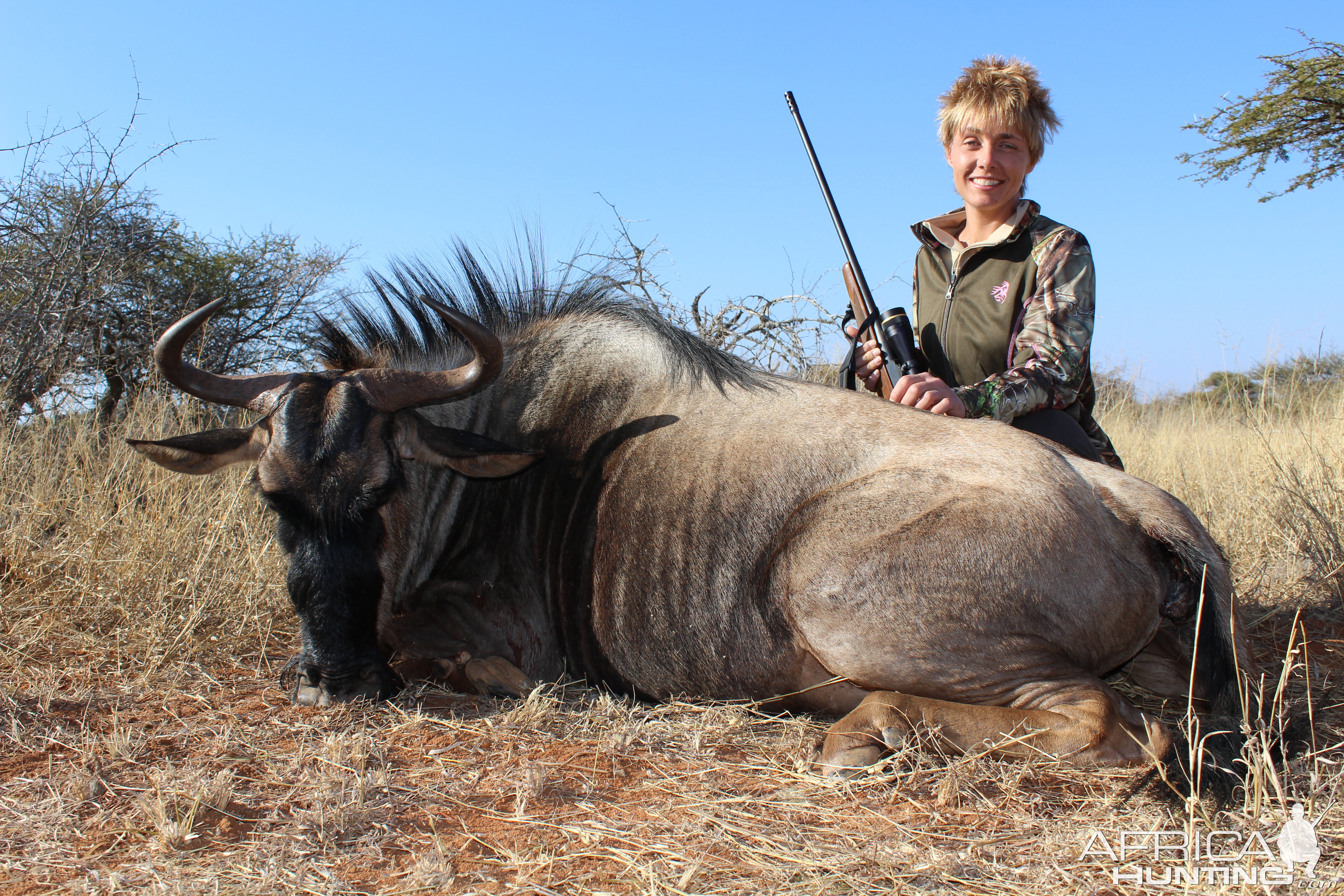 Blue Wildebeest Hunting