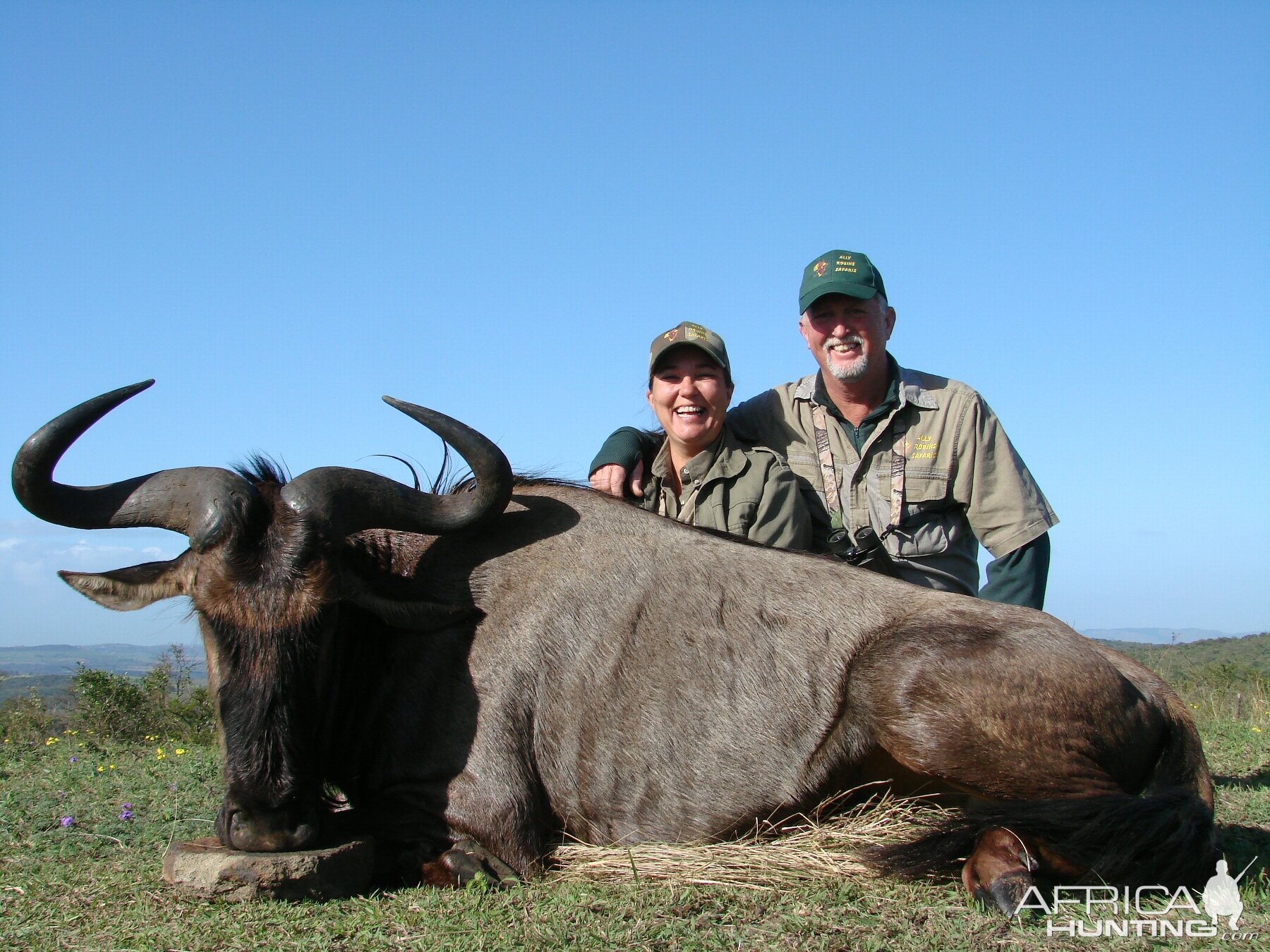 Blue Wildebeest Kwa Zulu Natal, SA 2007