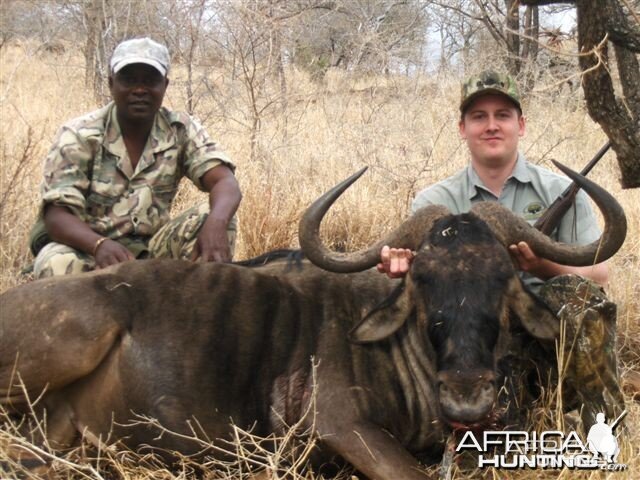 Blue Wildebeest Leeukop Safaris