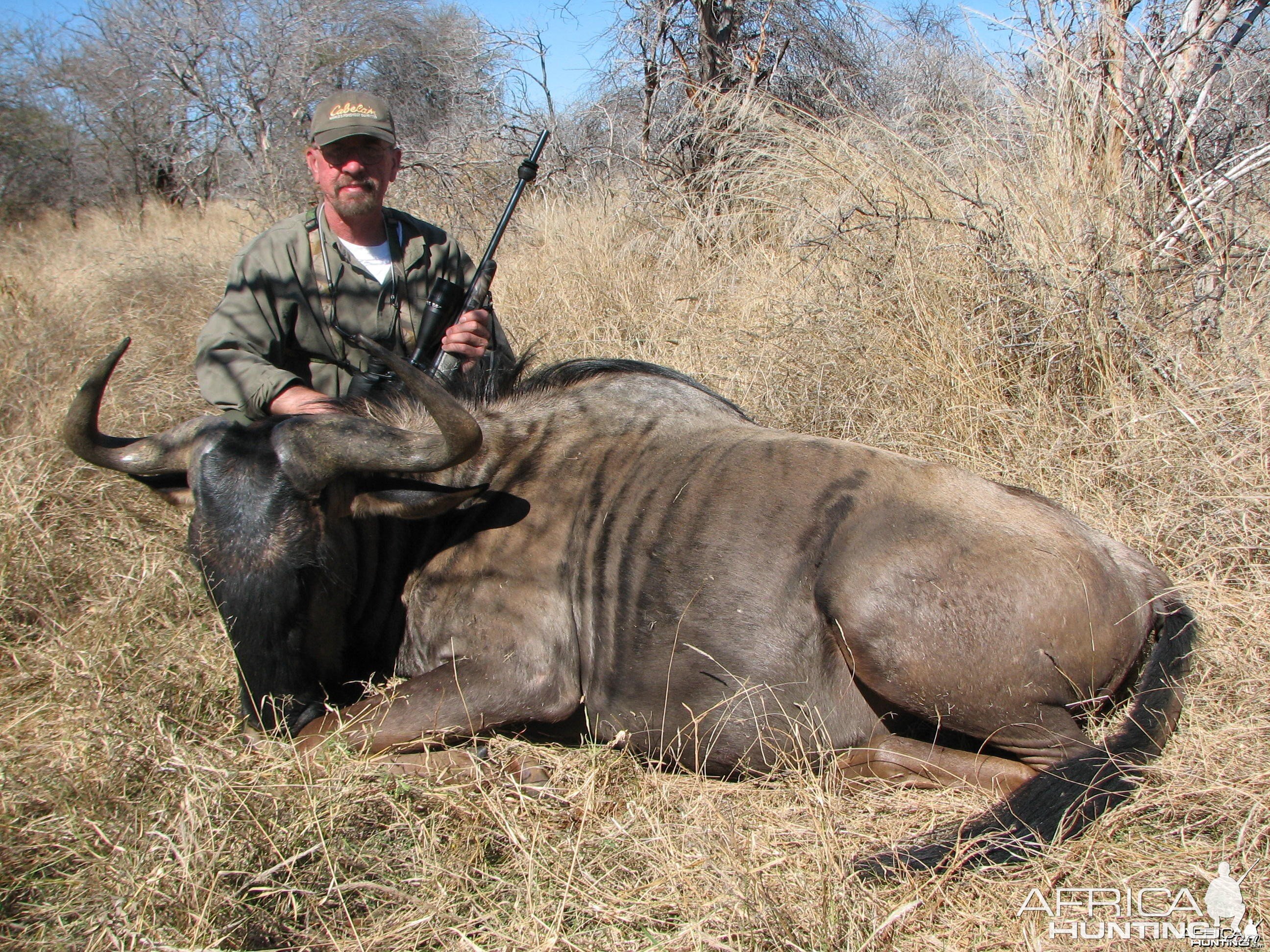 Blue Wildebeest Limpopo River Area