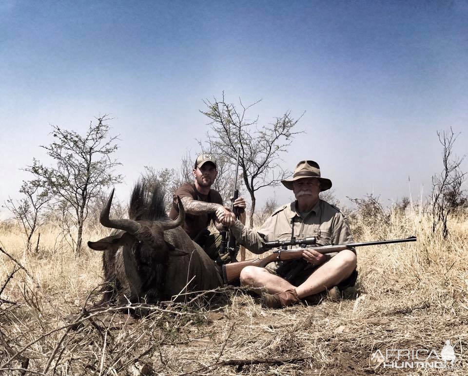 Blue Wildebeest Namibia Hunting