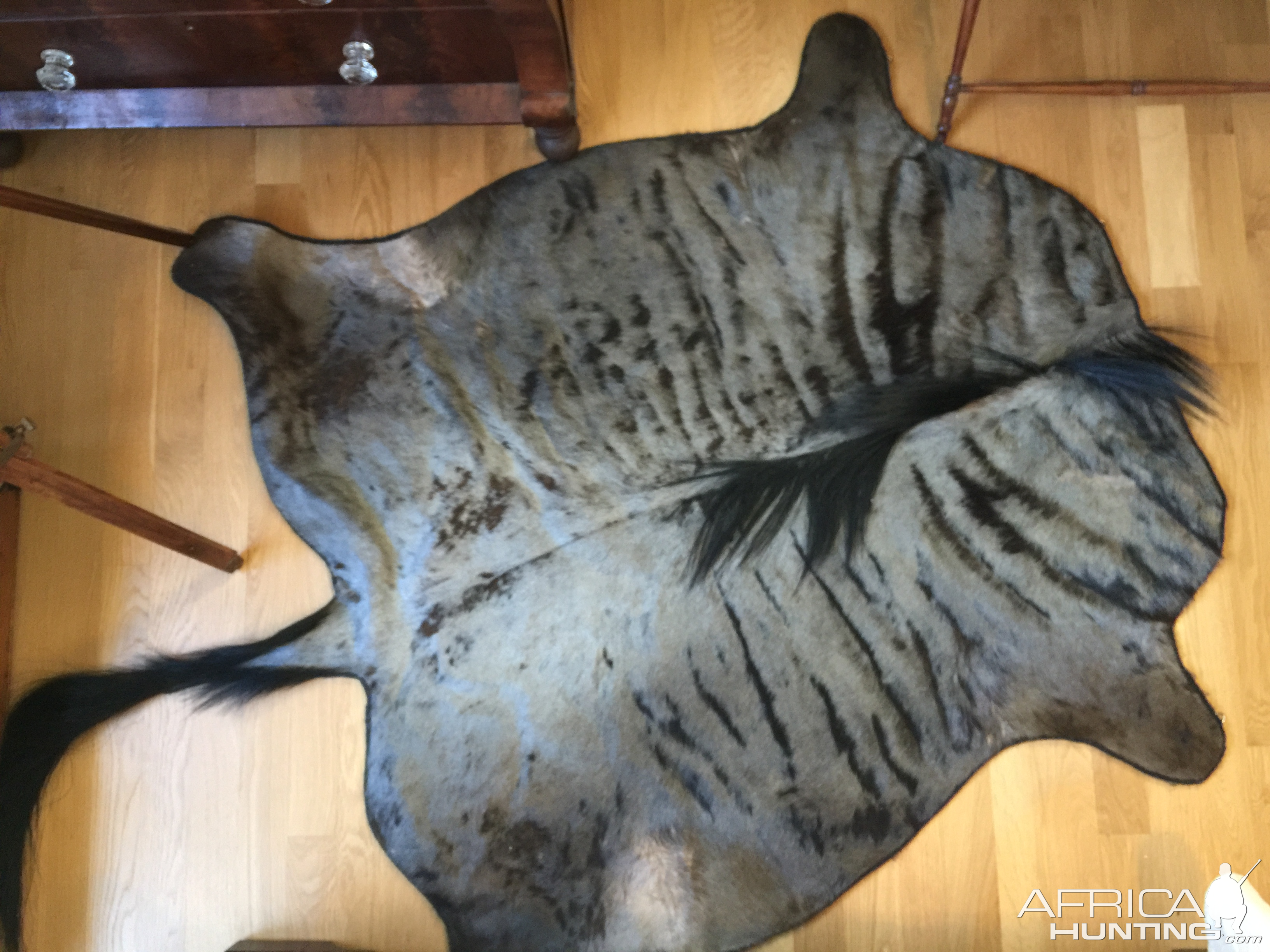 Blue Wildebeest Rug