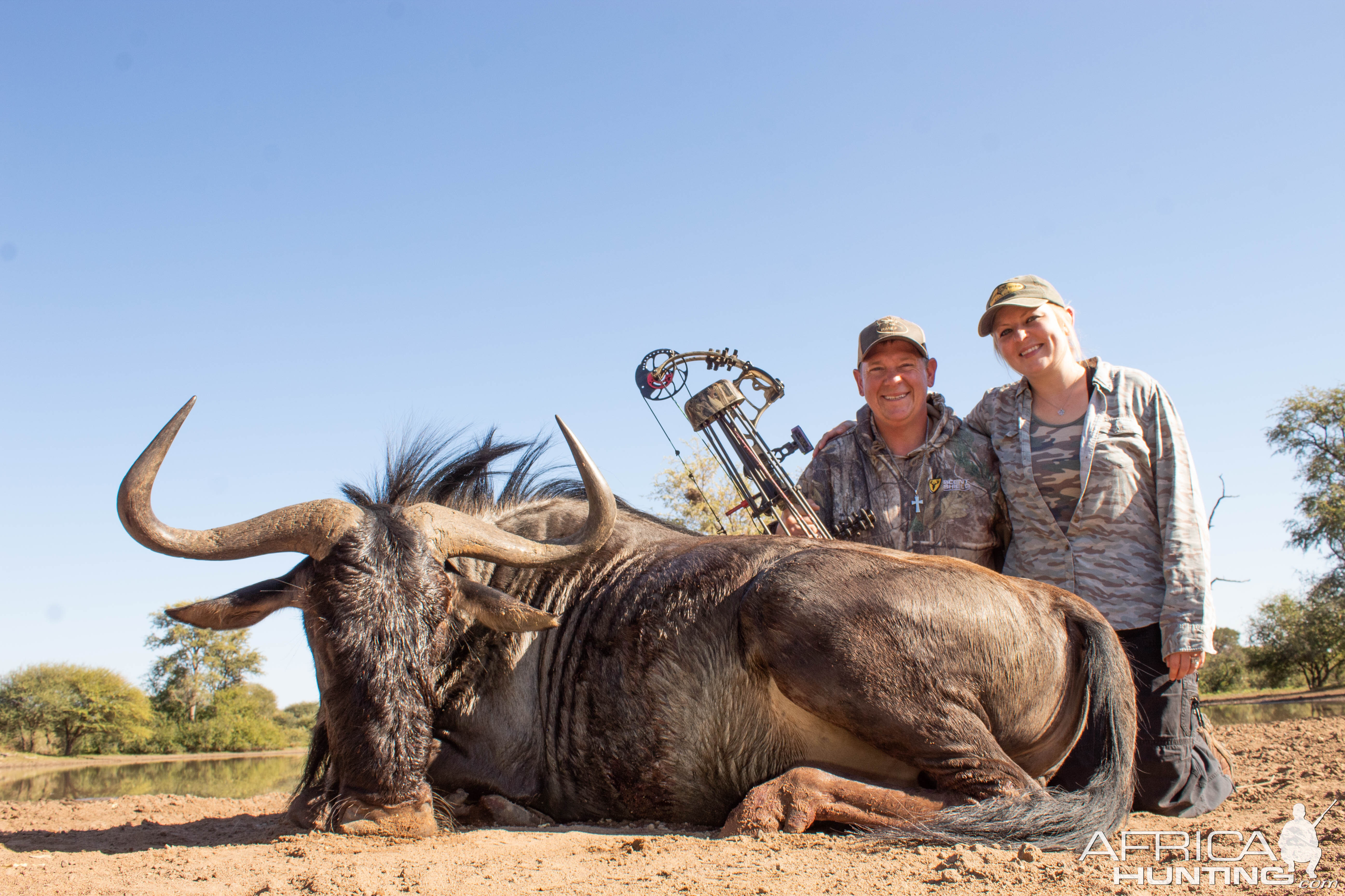 Blue Wildebeest South Africa Hunt