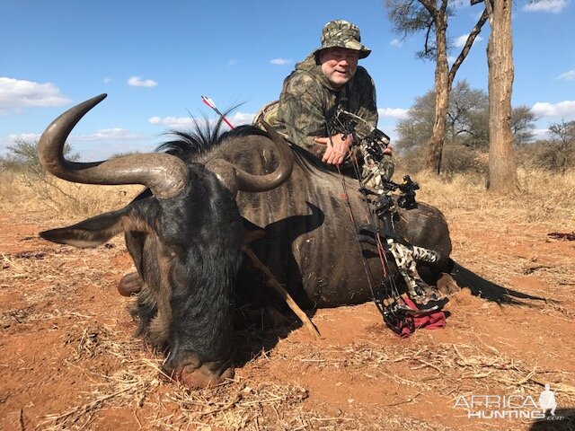 Blue Wildebeest Trophy