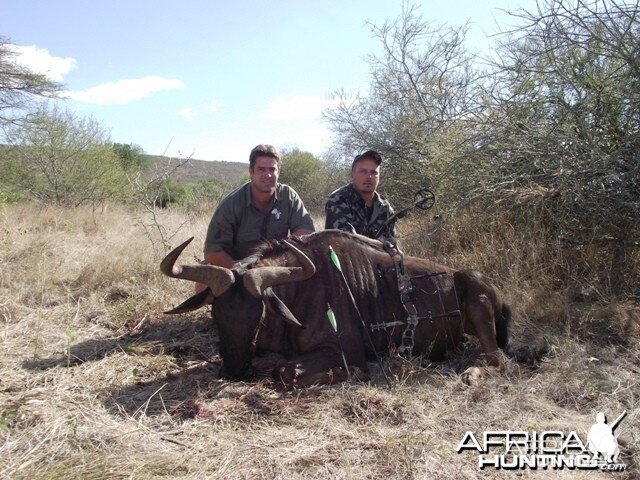 Blue Wildebeest with NUHS