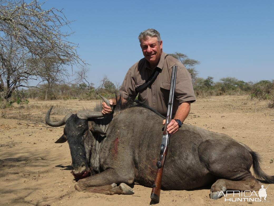 Blue Wildebeest Zimbabwe Hunt