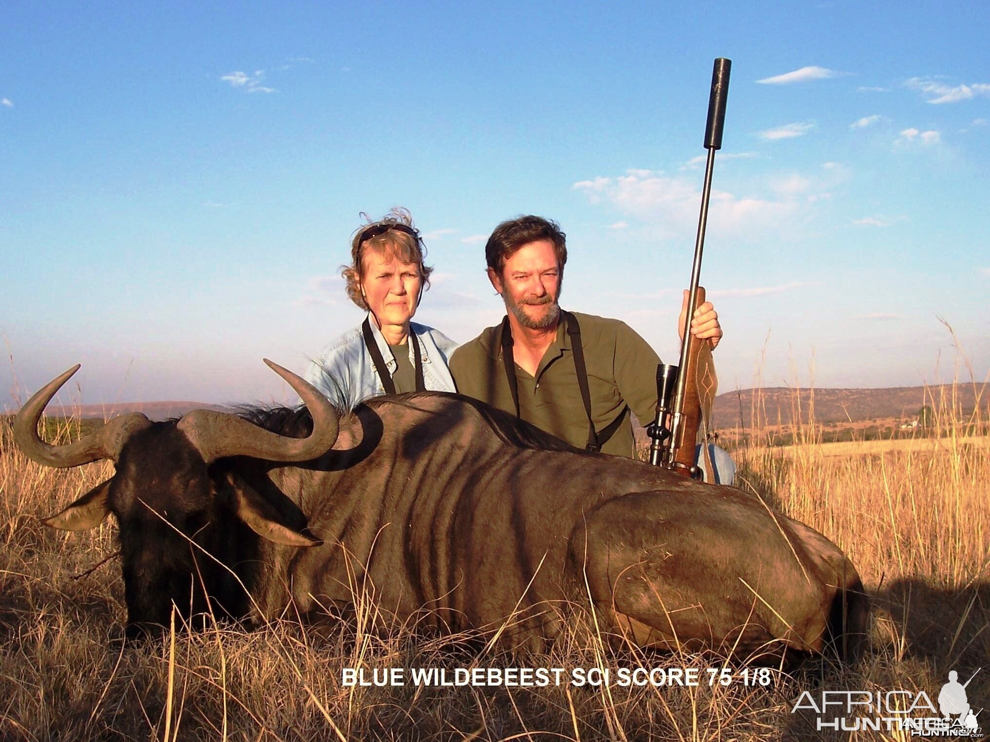 Blue Wildebeest