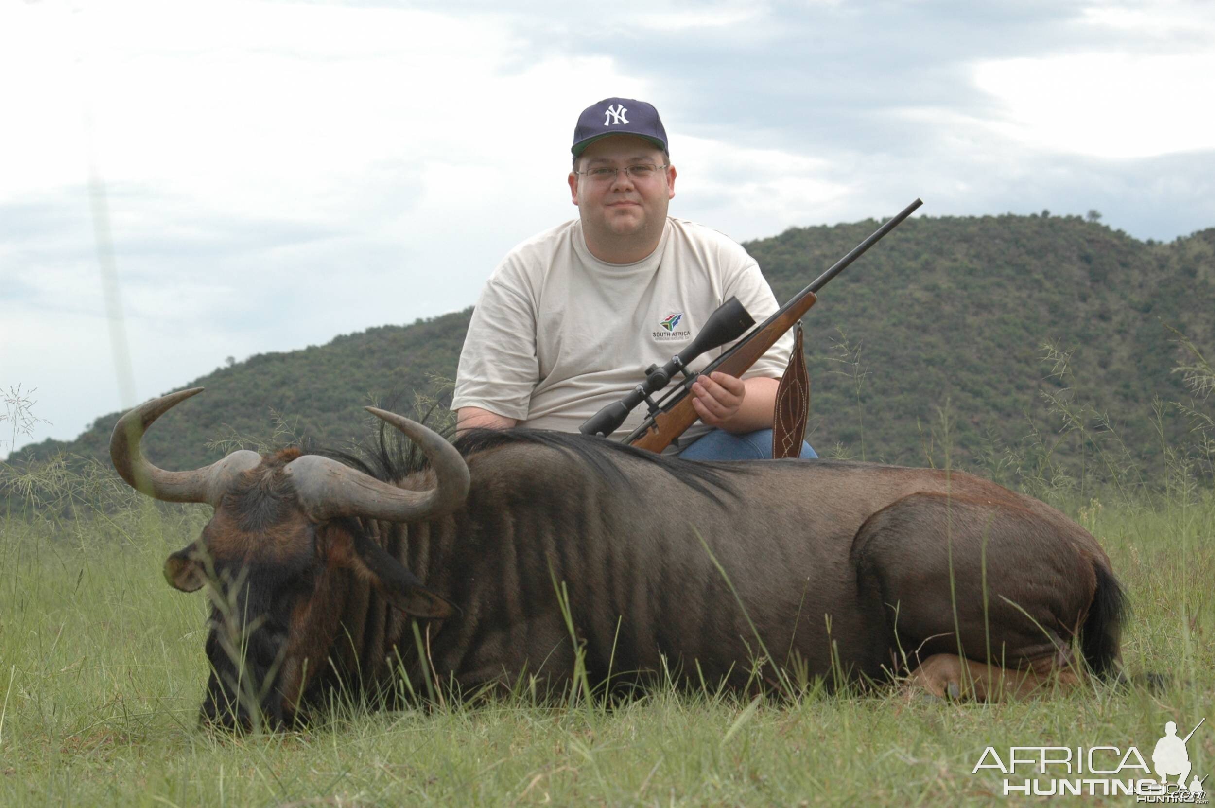 Blue Wildebeest