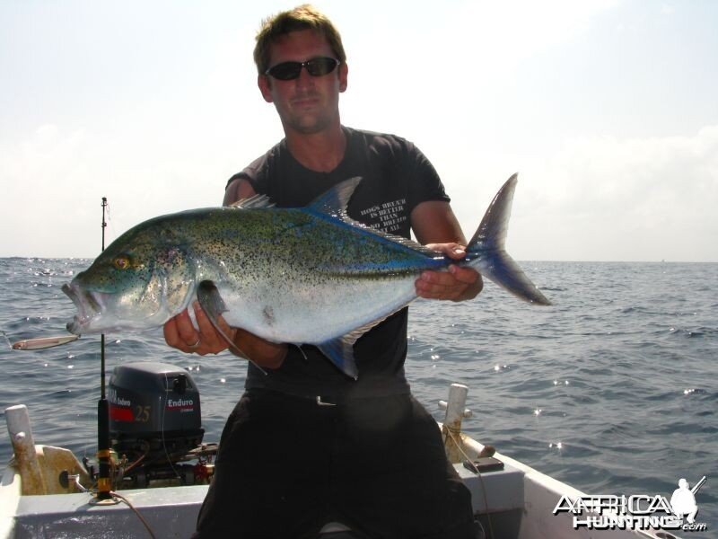 Bluefin Trevally