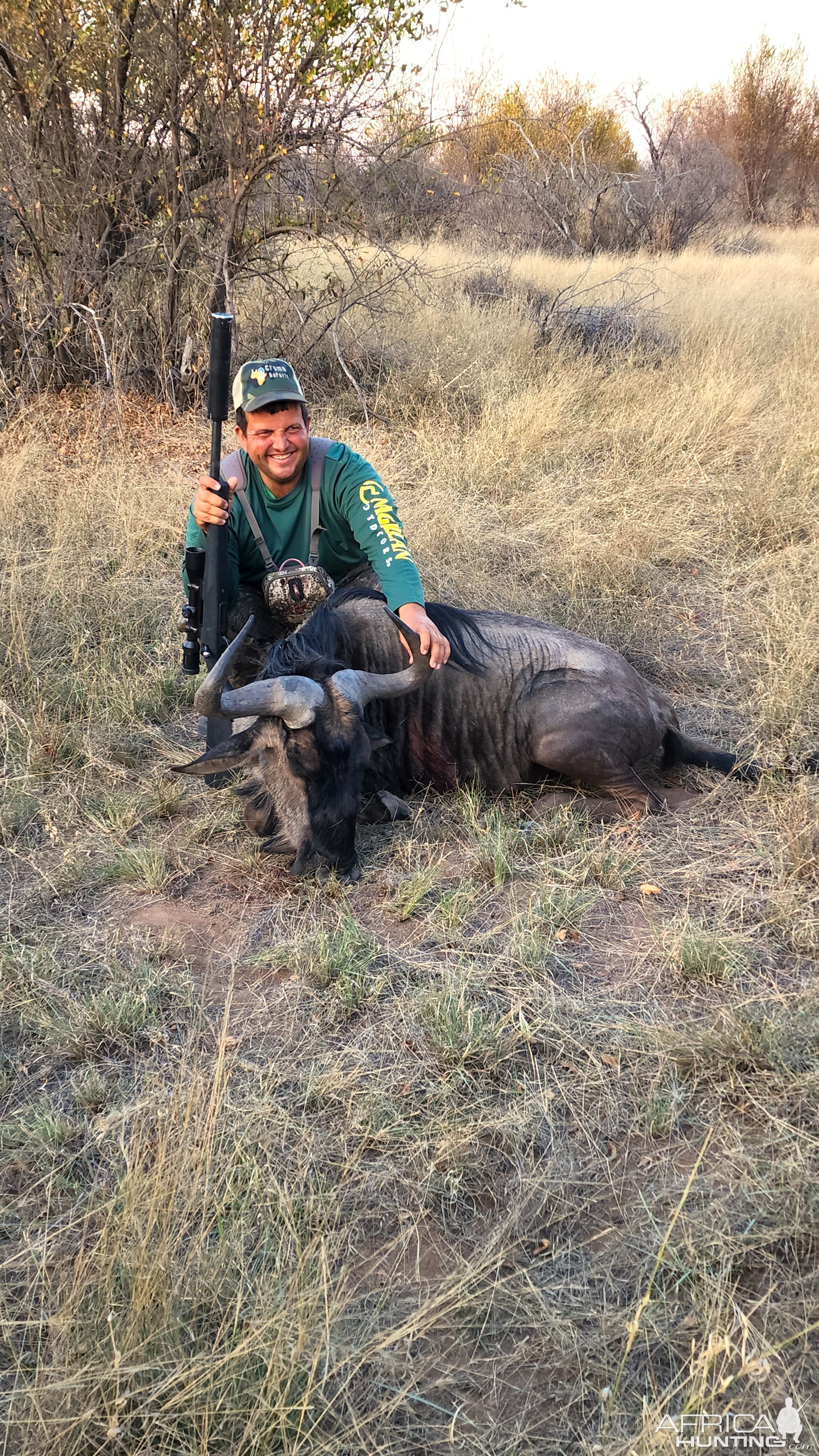 Bluw Wildebeest Hunting South Africa