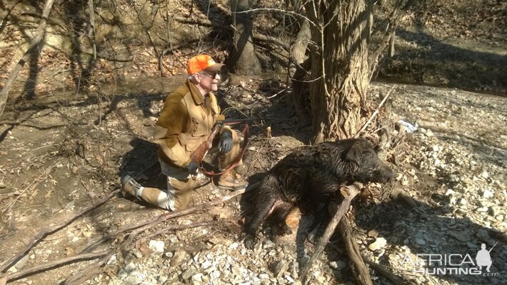 Boar Hunt