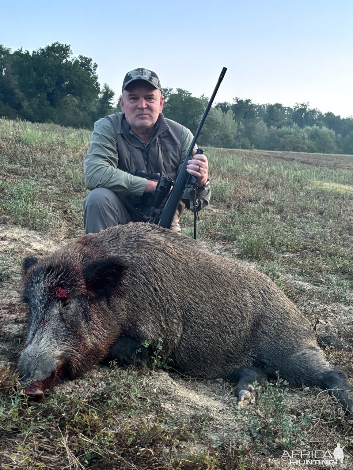 Boar Hunting Italy