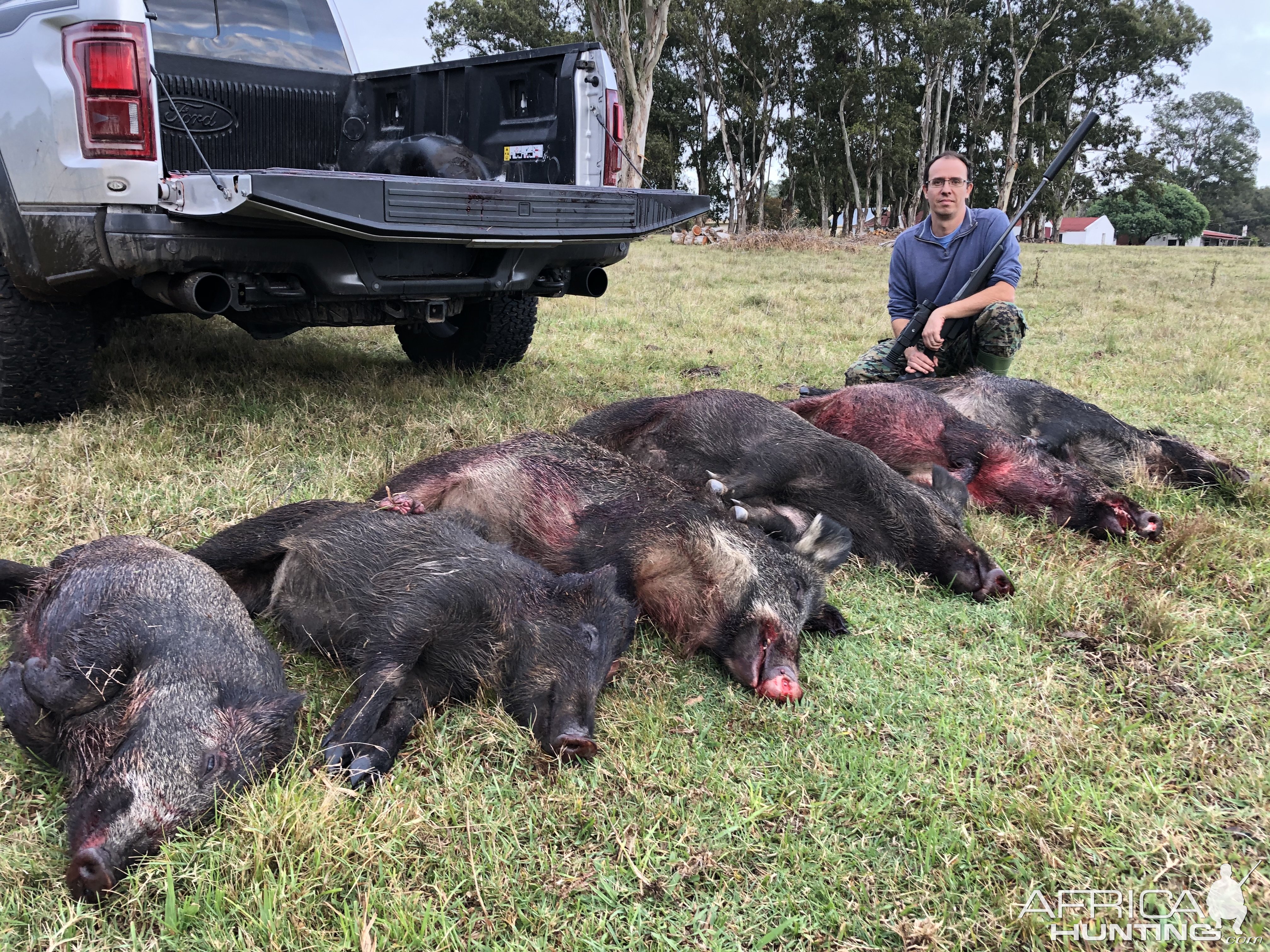 Boar Hunting