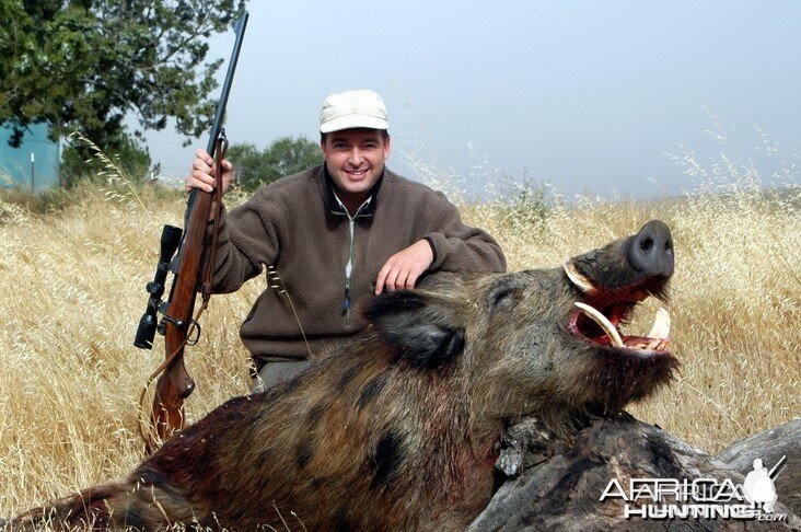 Boar Hunting