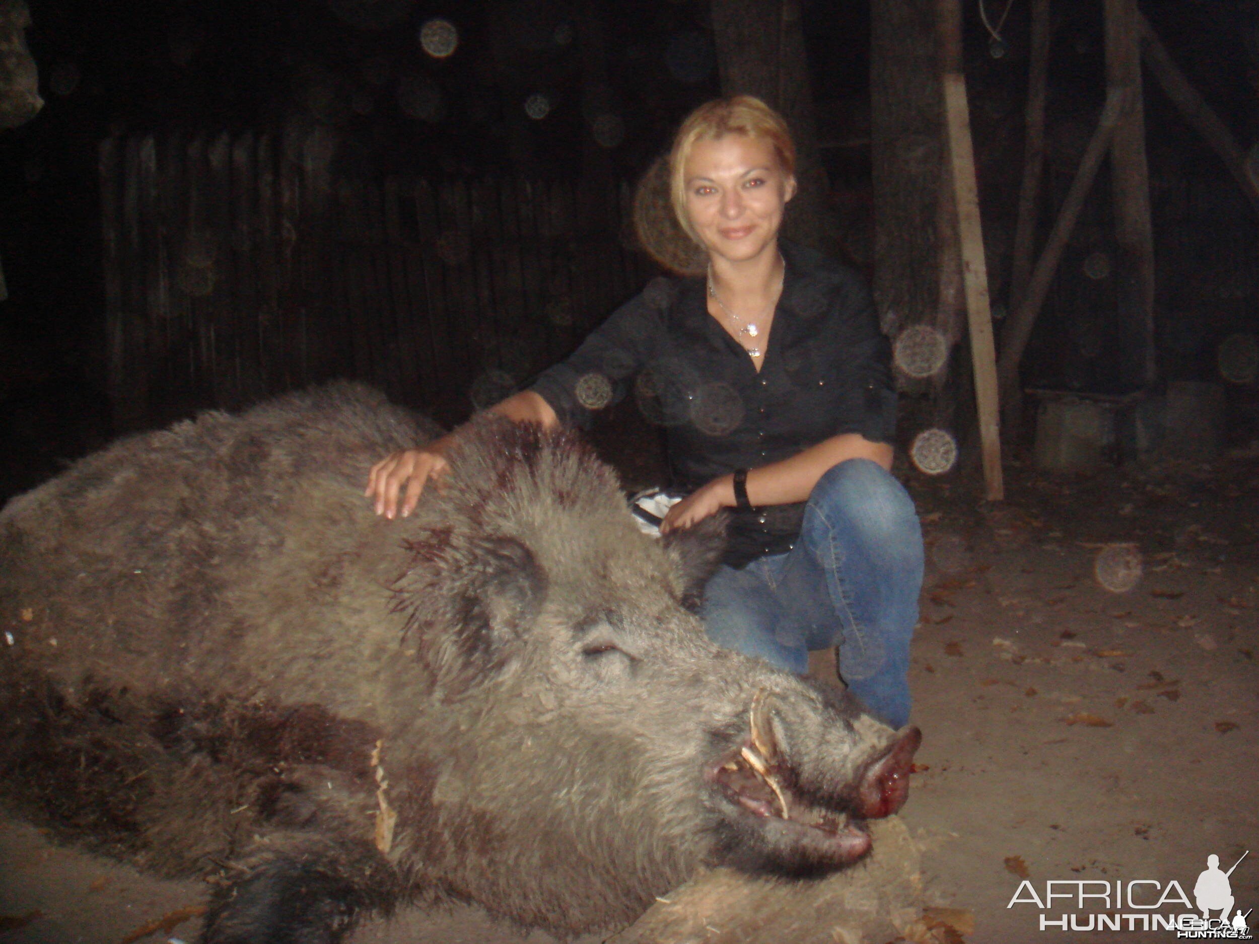 Boar Hunting