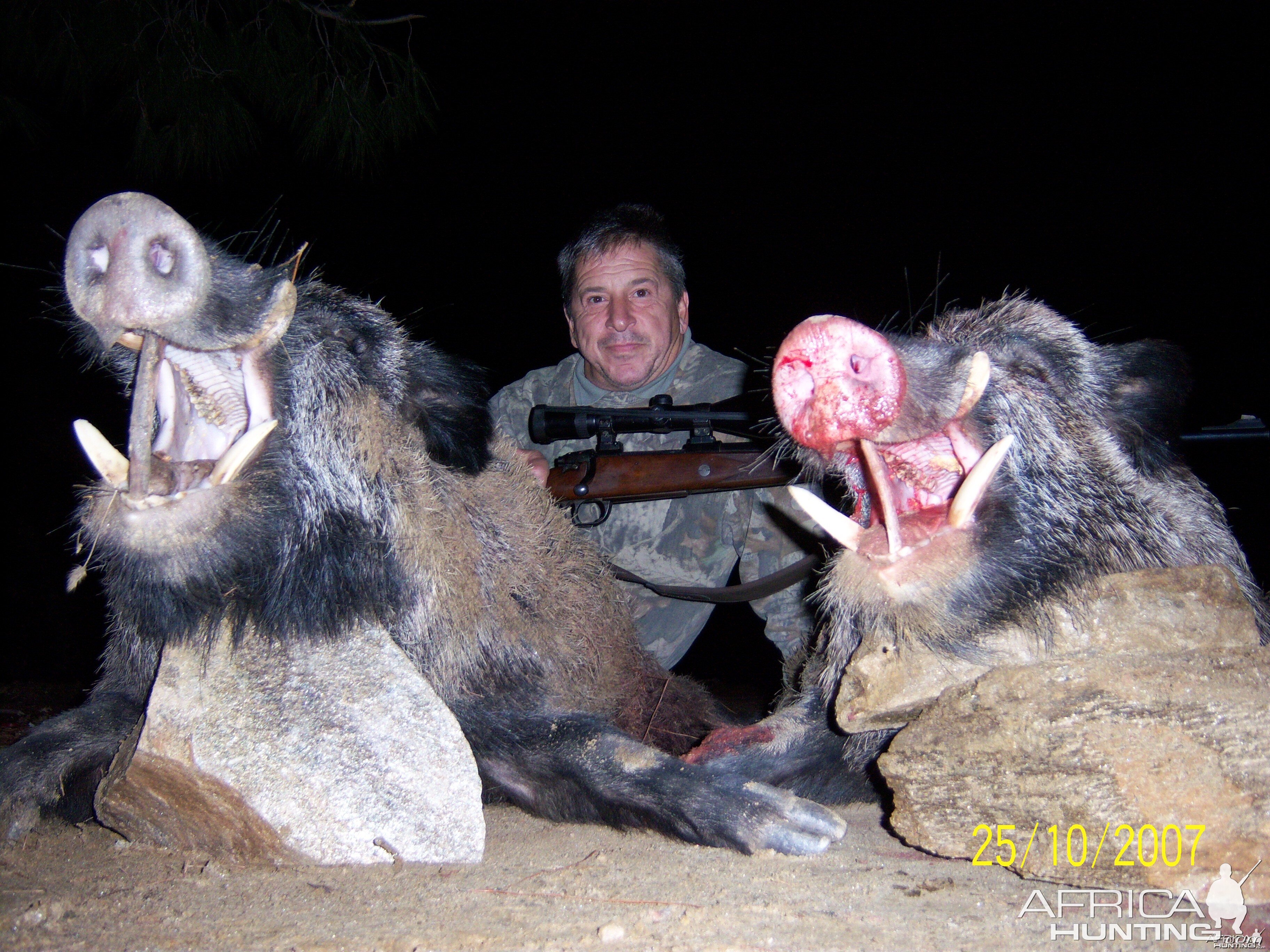 BOARS TURKEY 2007