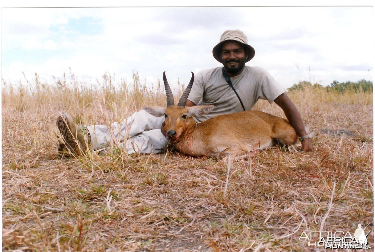 Bohor Reedbuck