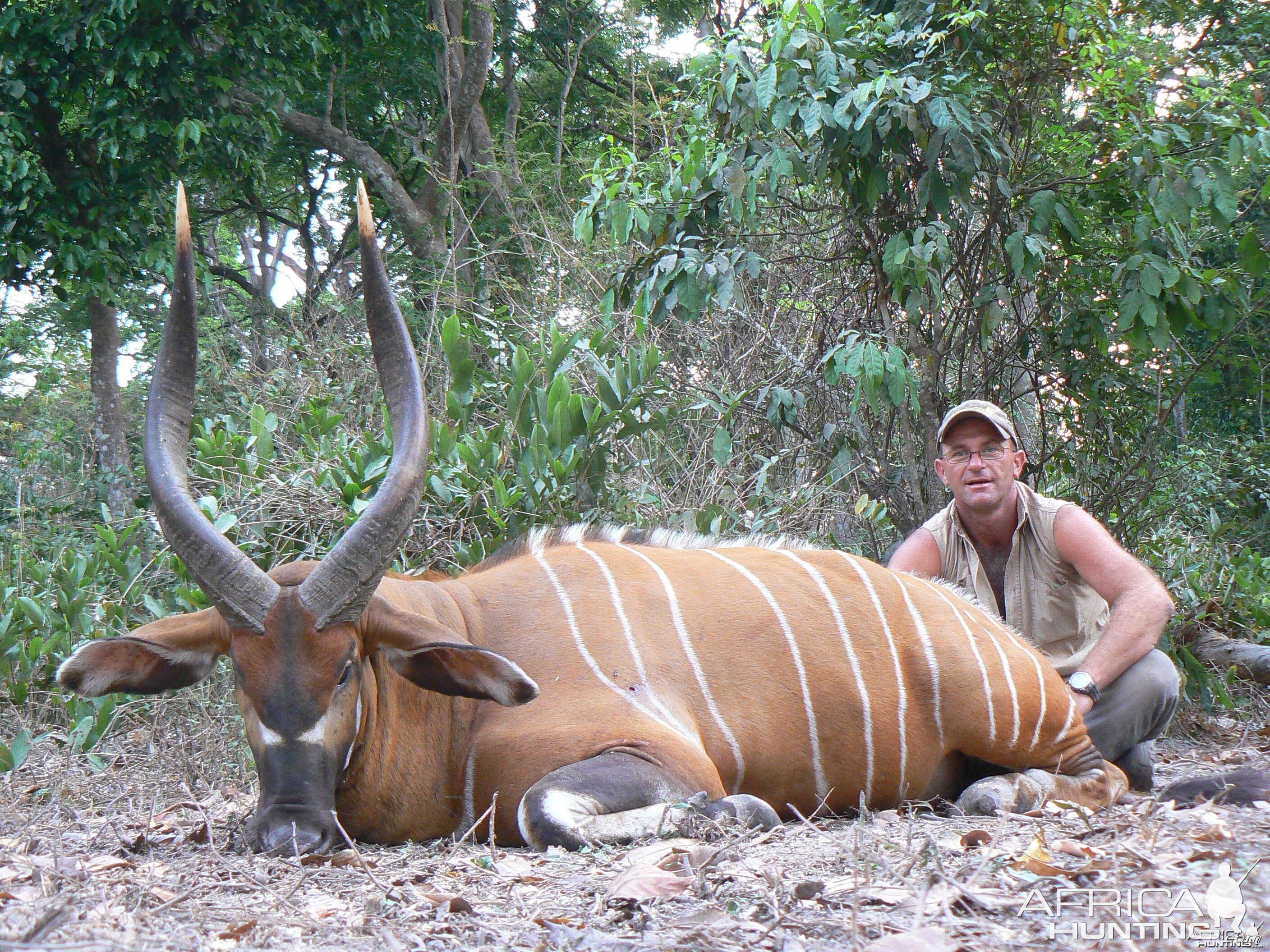 Bongo 30 1/2 inches taken in CAR