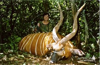 Bongo Bow Hunting Central African Republic