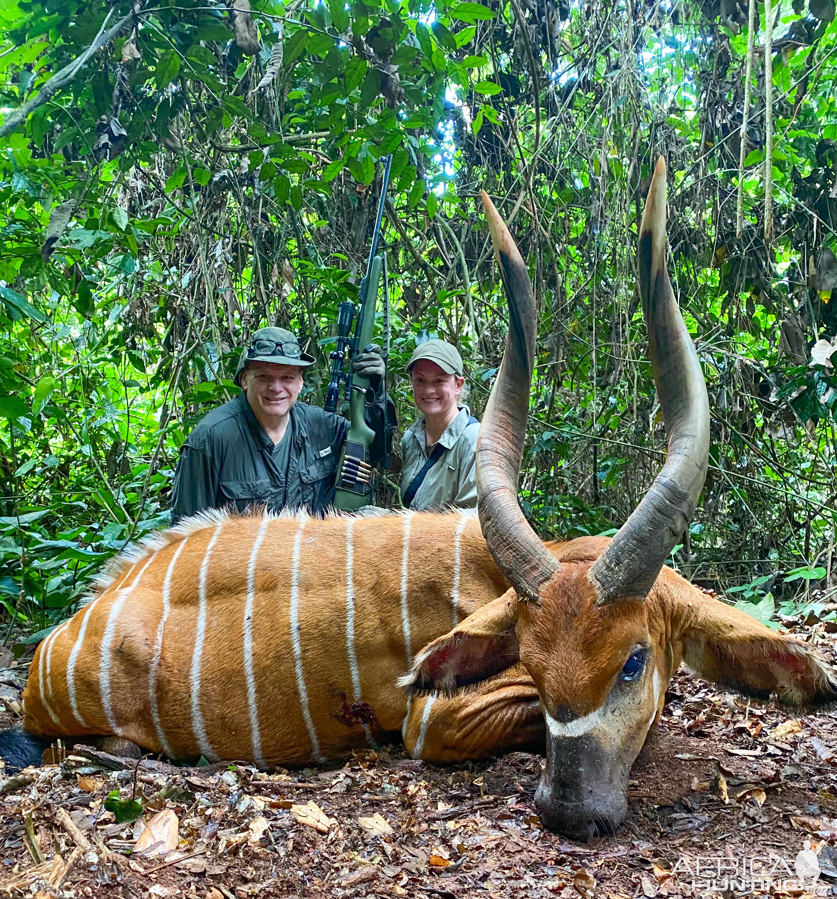 Bongo Hunt Cameroon