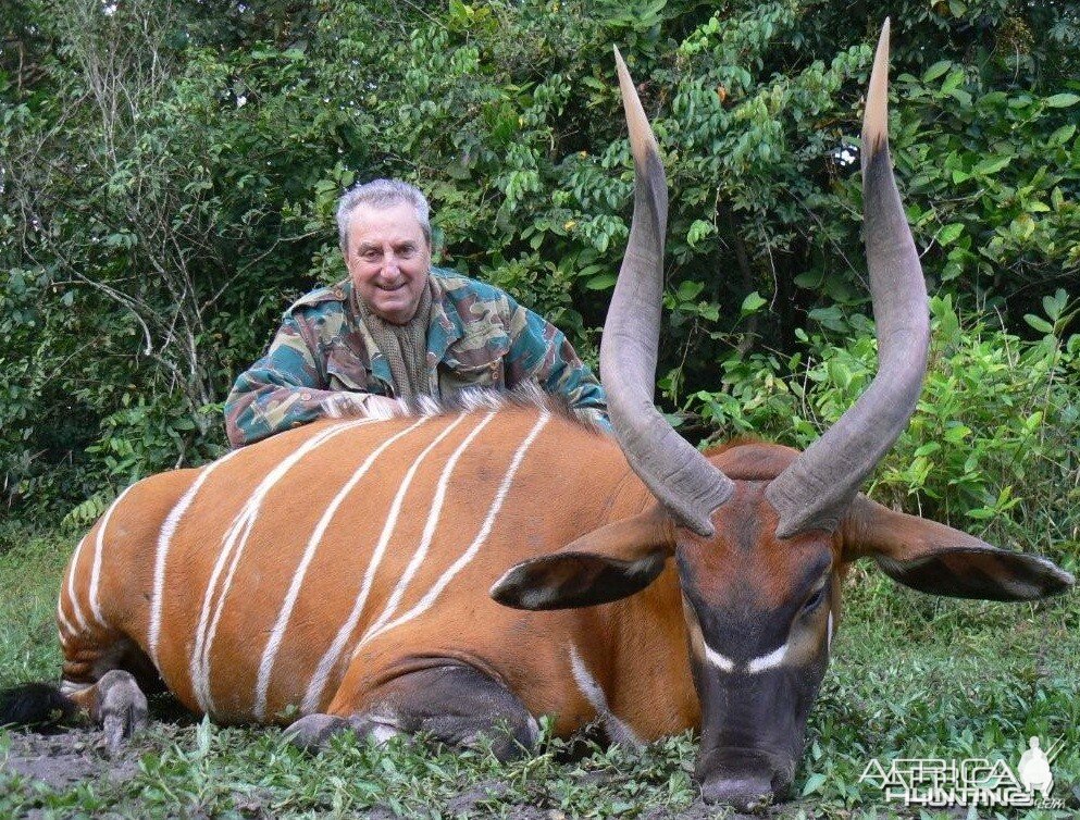 Bongo Hunt in C.A.R.