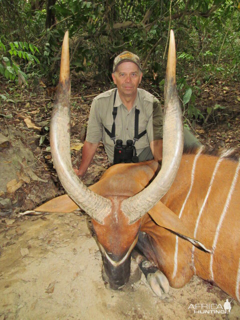 Bongo hunt with CAWA in CAR