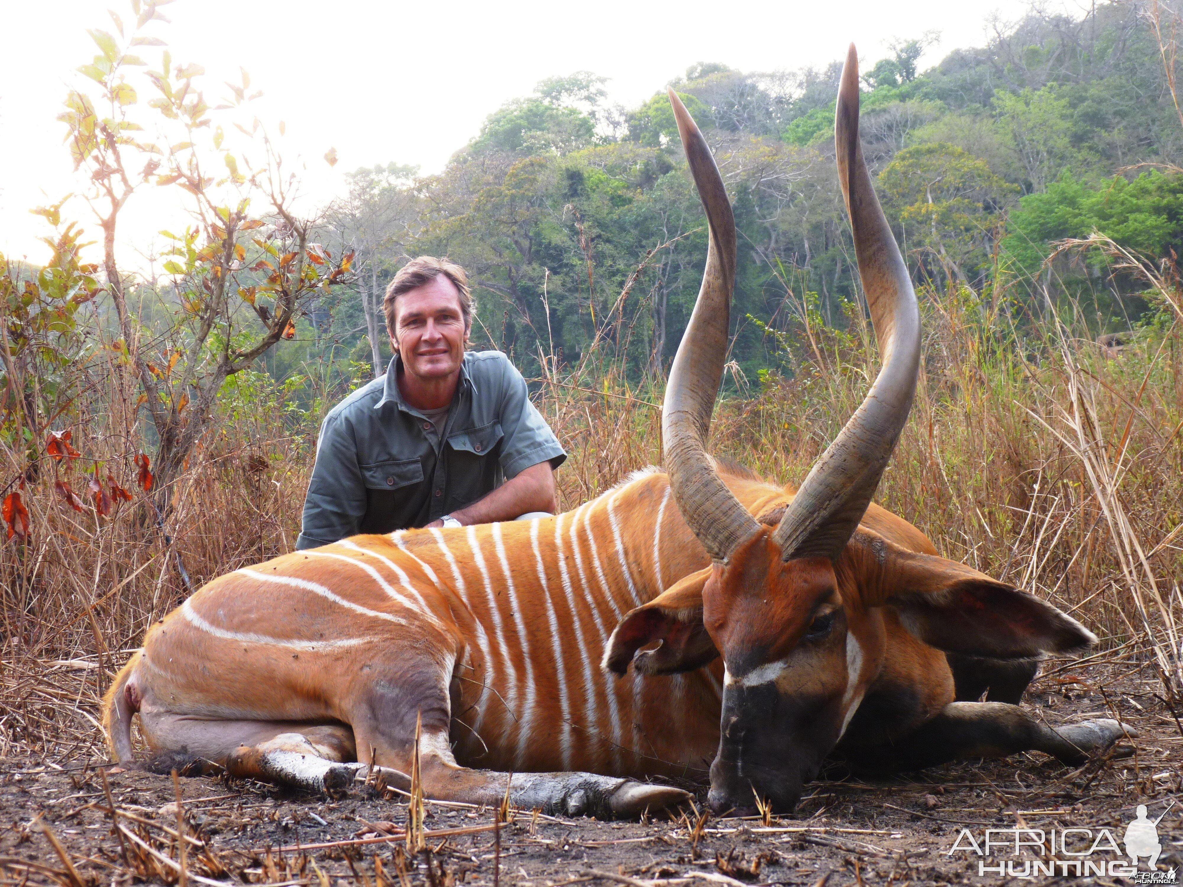 Bongo hunted in CAR with CAWA