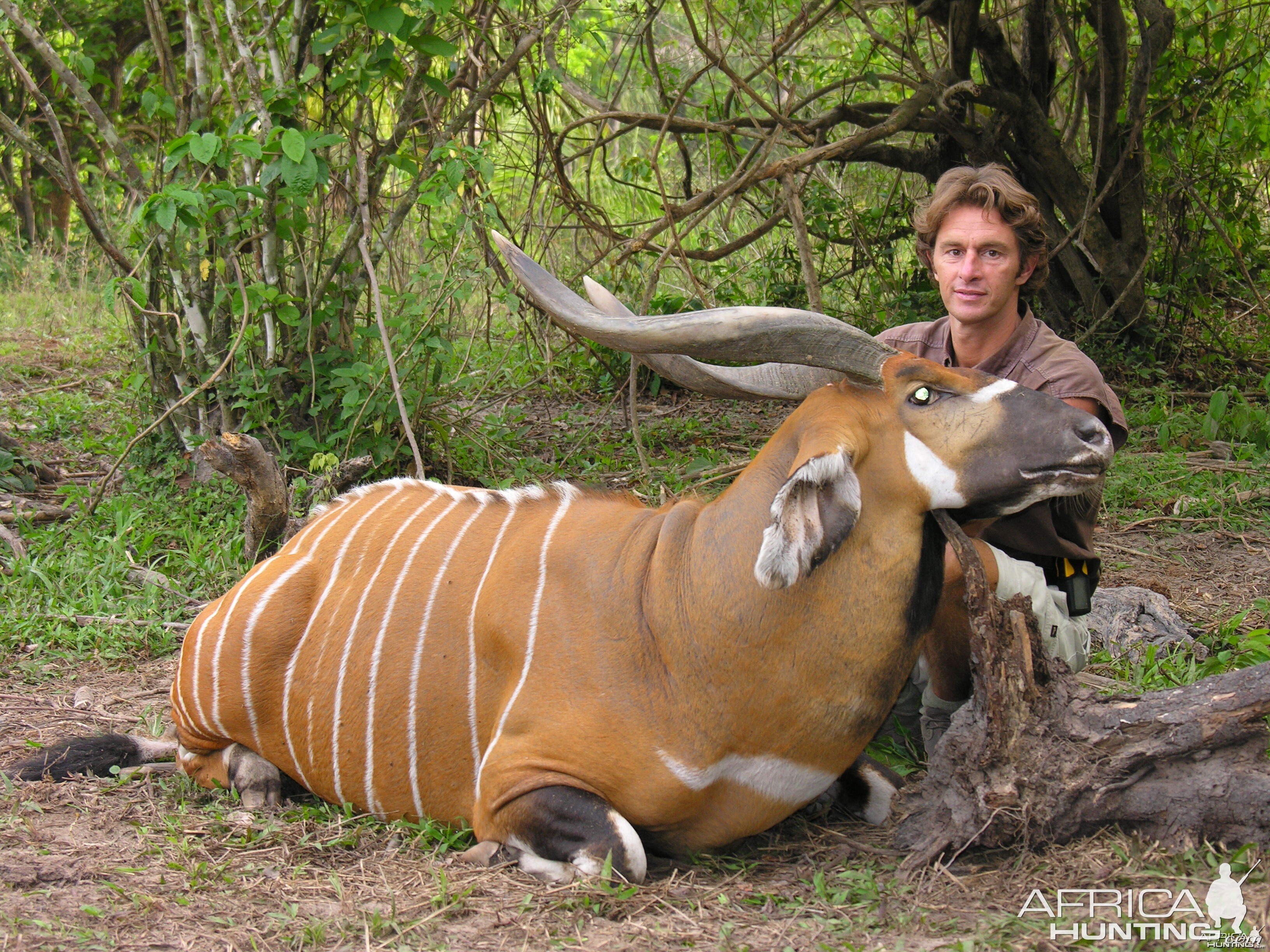 Bongo Hunted in CAR