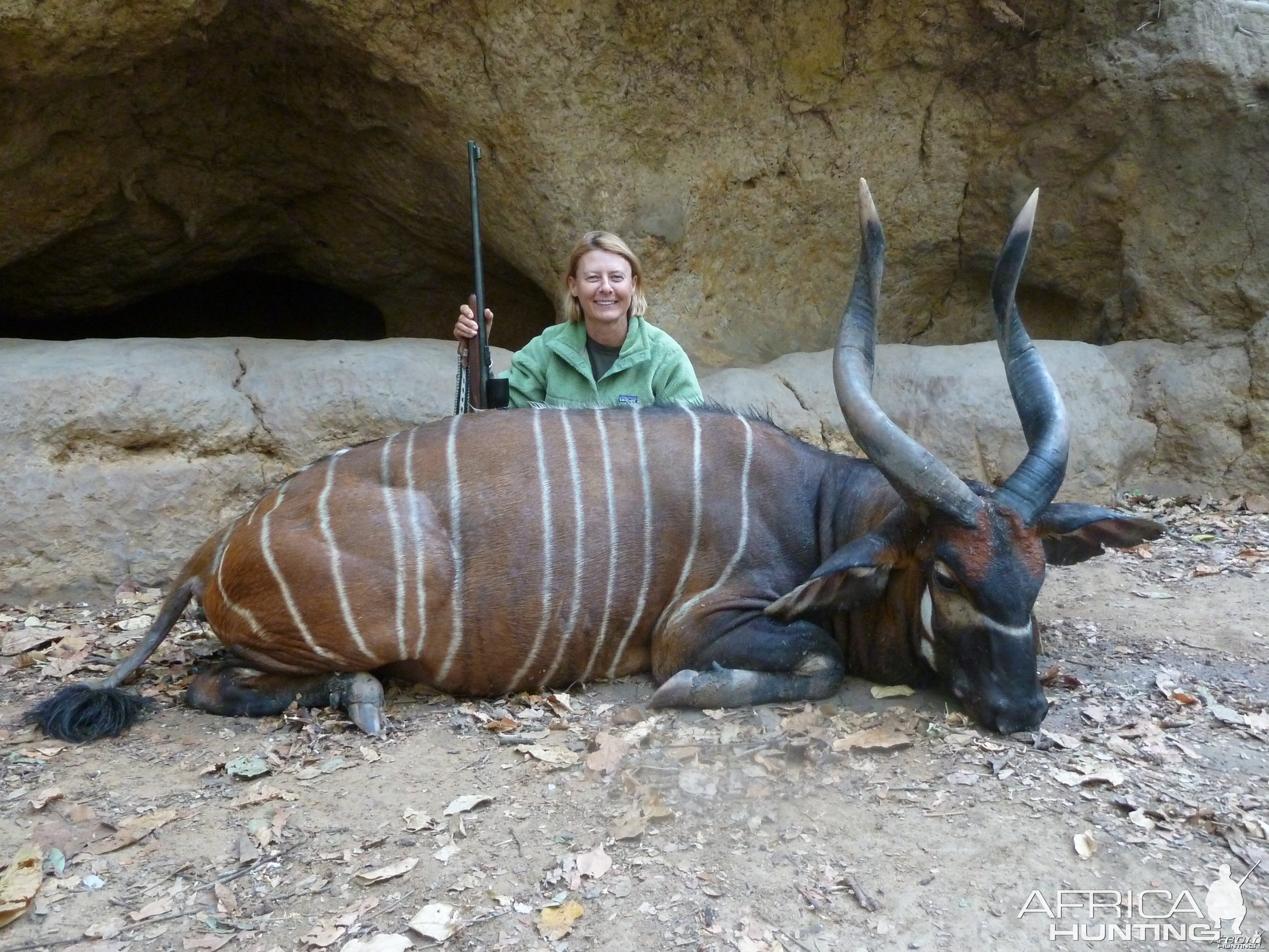 Bongo hunted in Central Africa with Club Faune