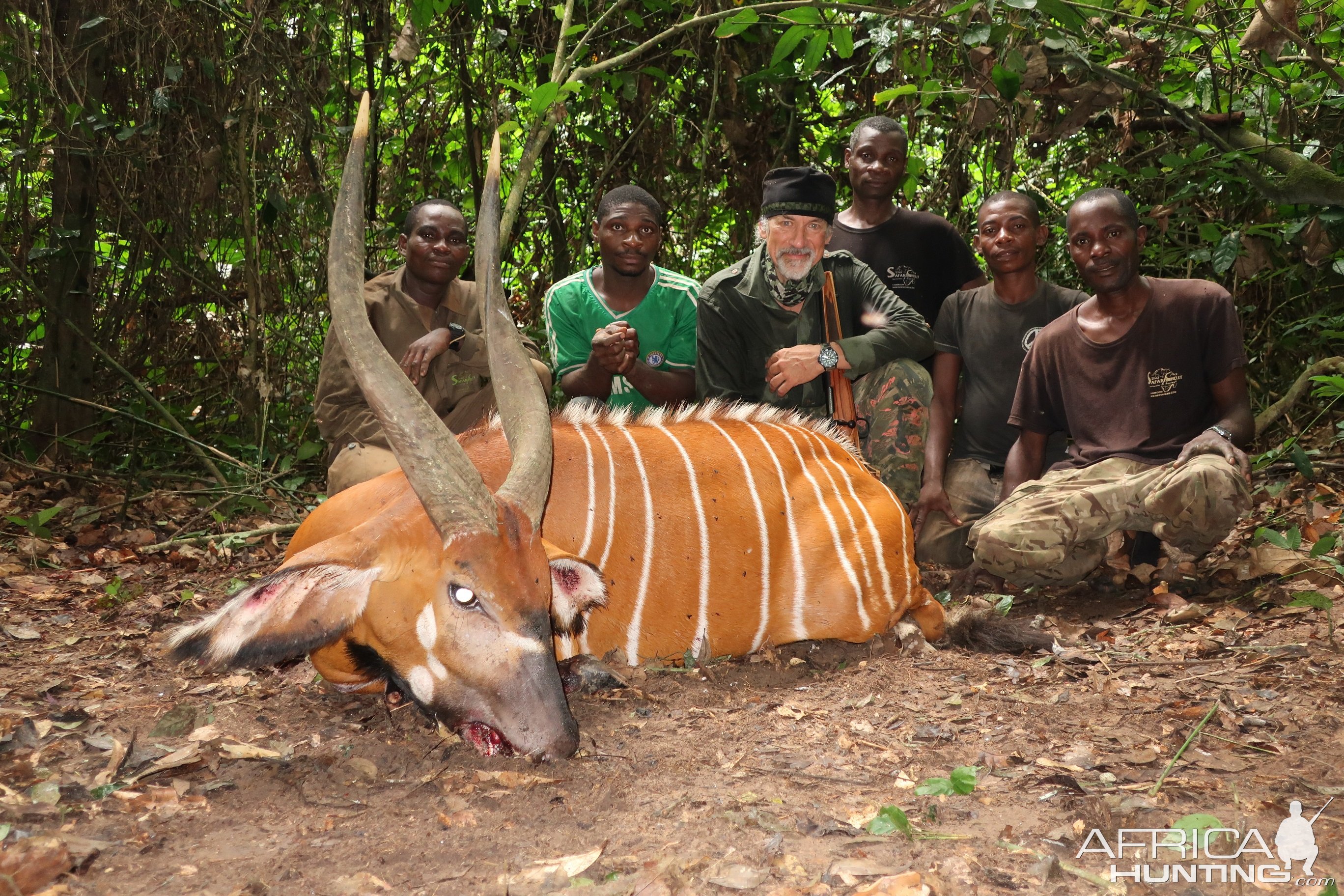 Bongo Hunting Cameroon