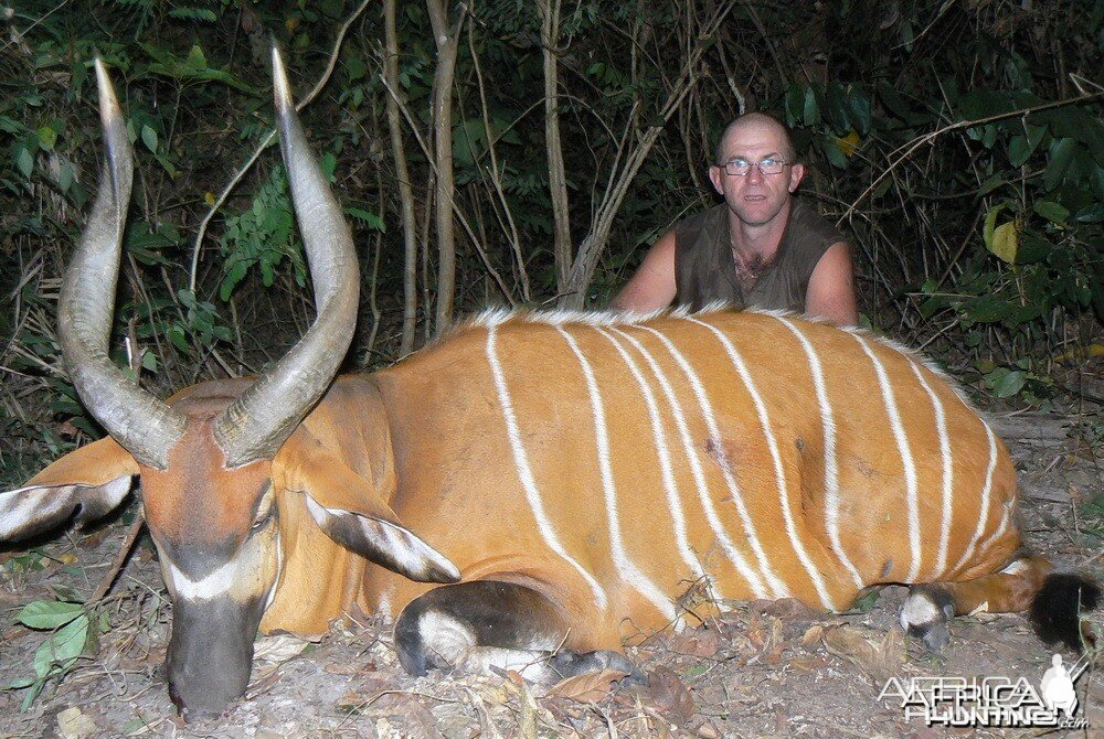 Bongo Hunting in C.A.R.