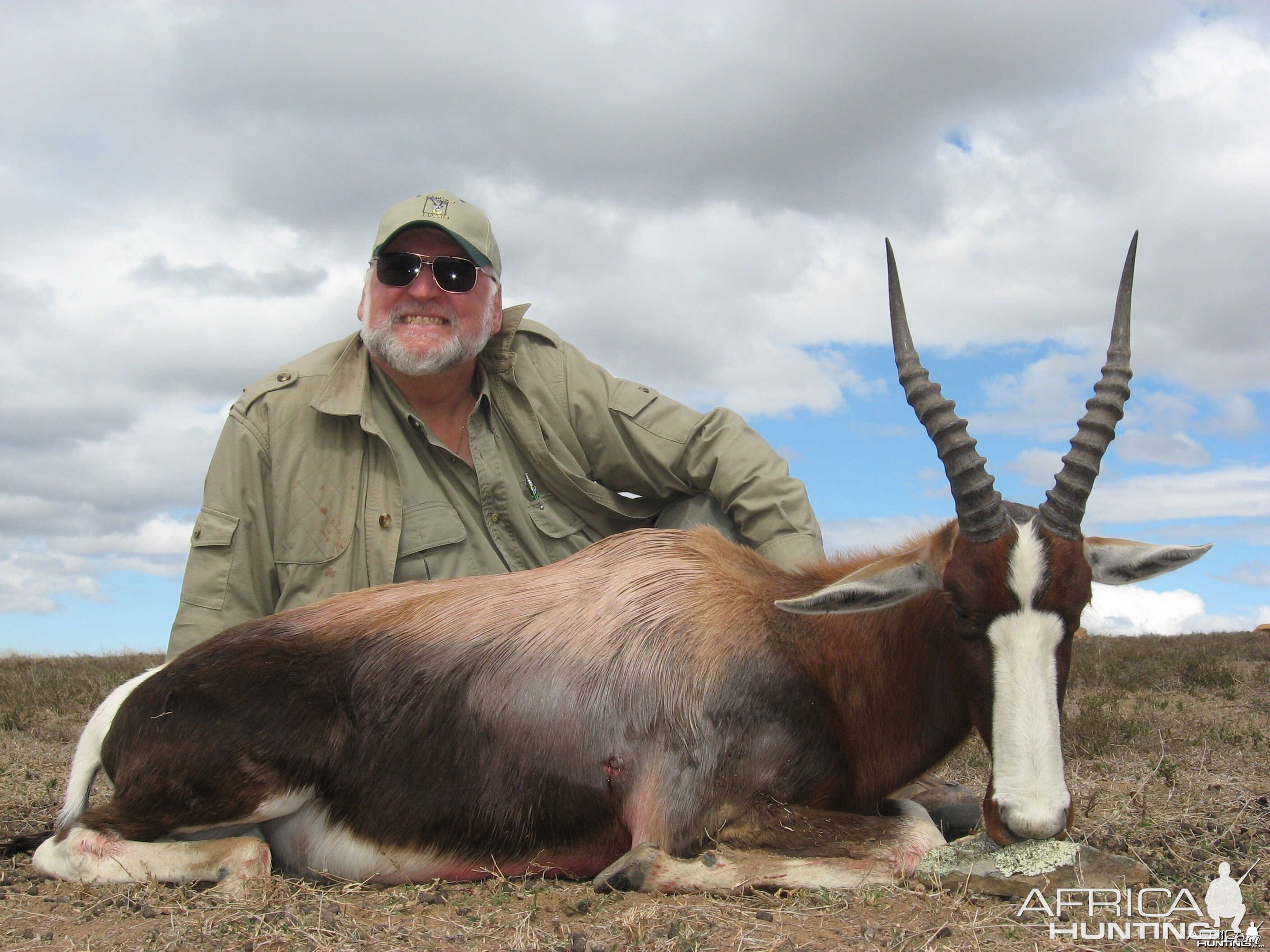 Bontebok hunted with Andrew Harvey Safaris