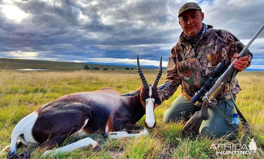 Bontebok Hunting South Africa