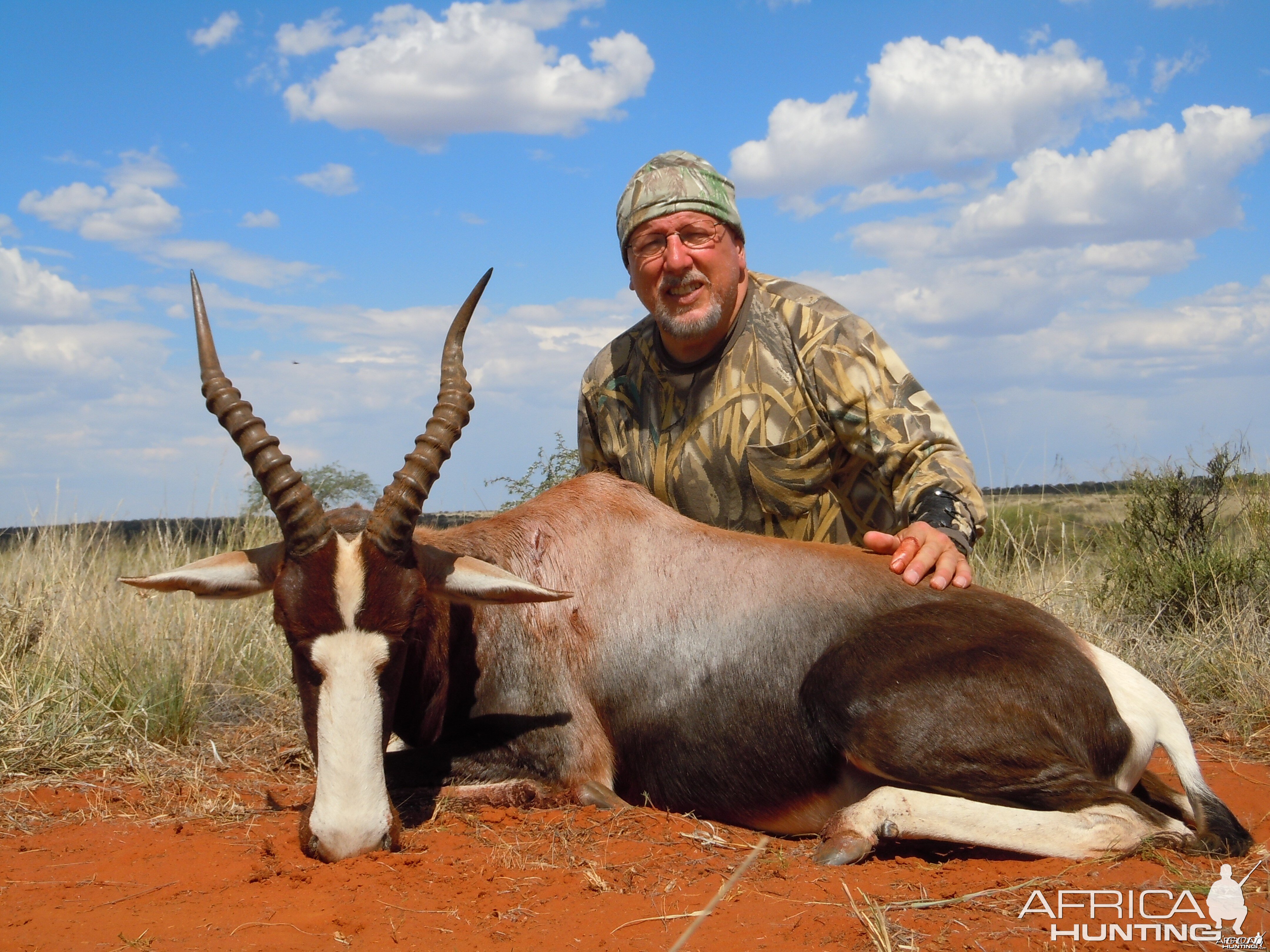 Bontebok