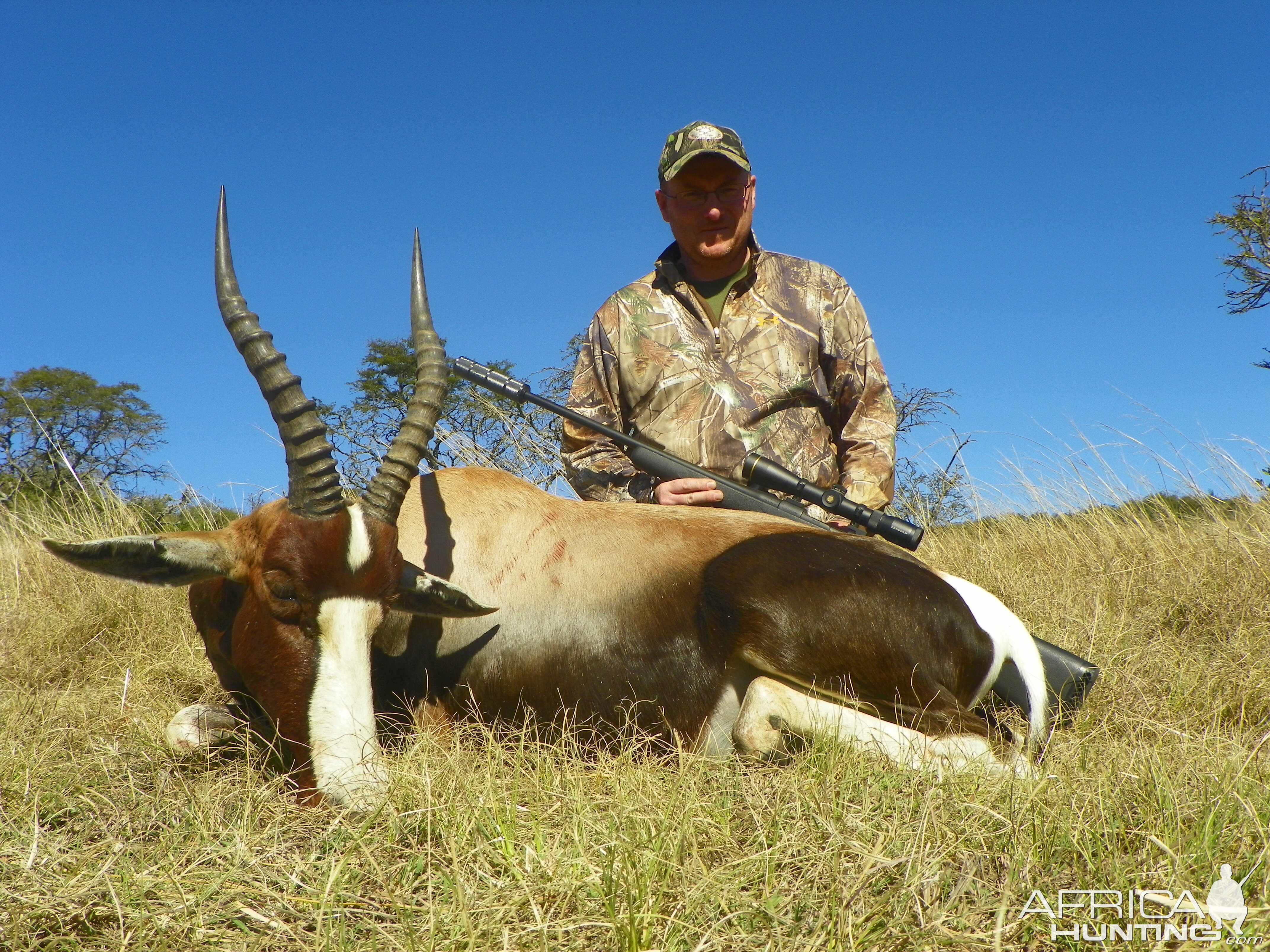 Bontebok