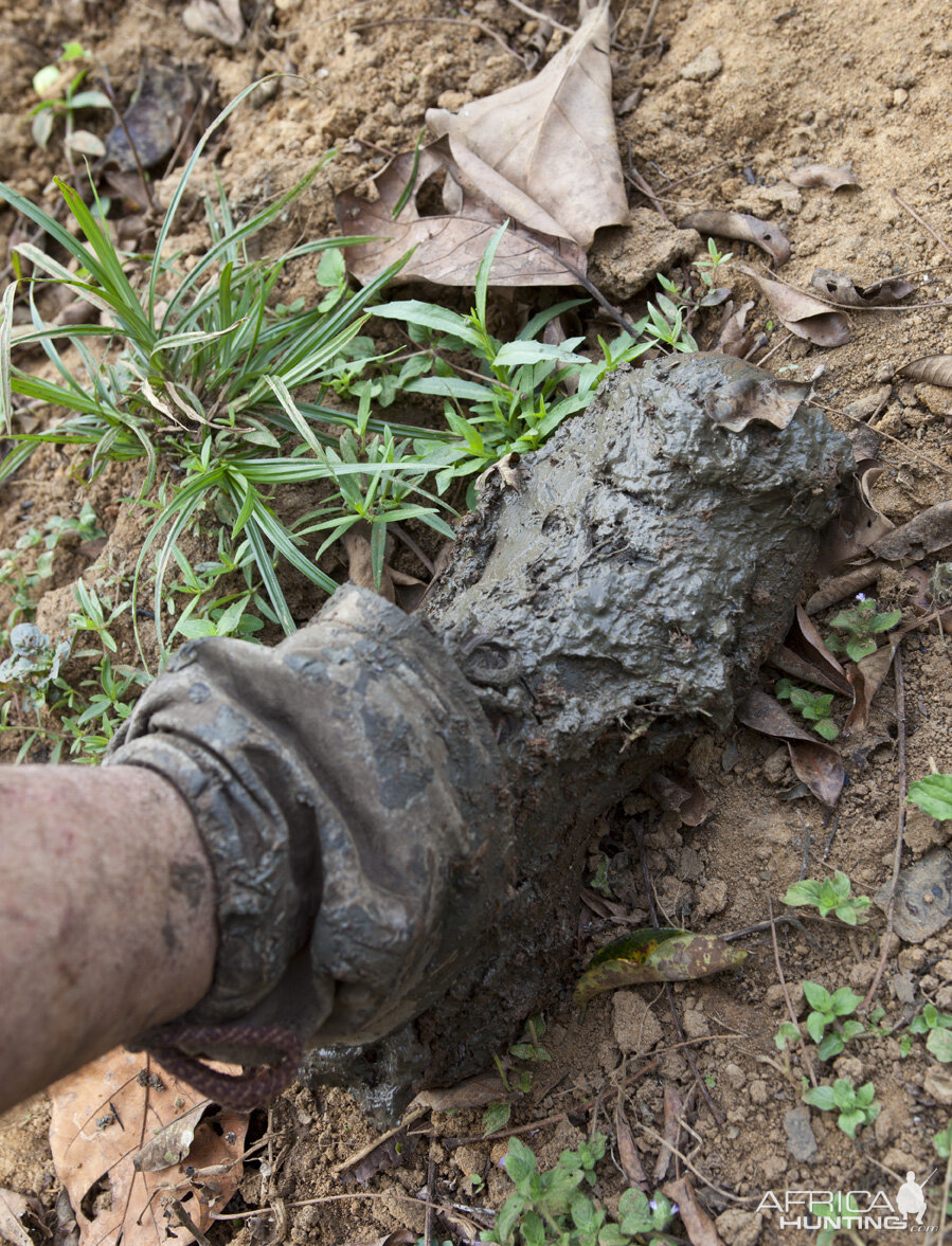 Boot caked in wet mud