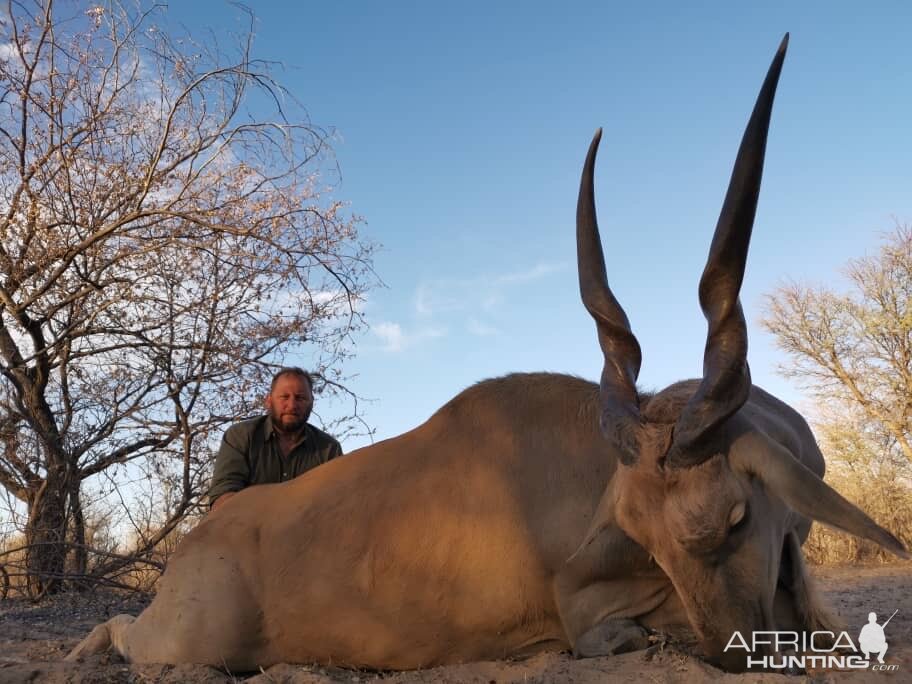 Botswana Hunt Eland