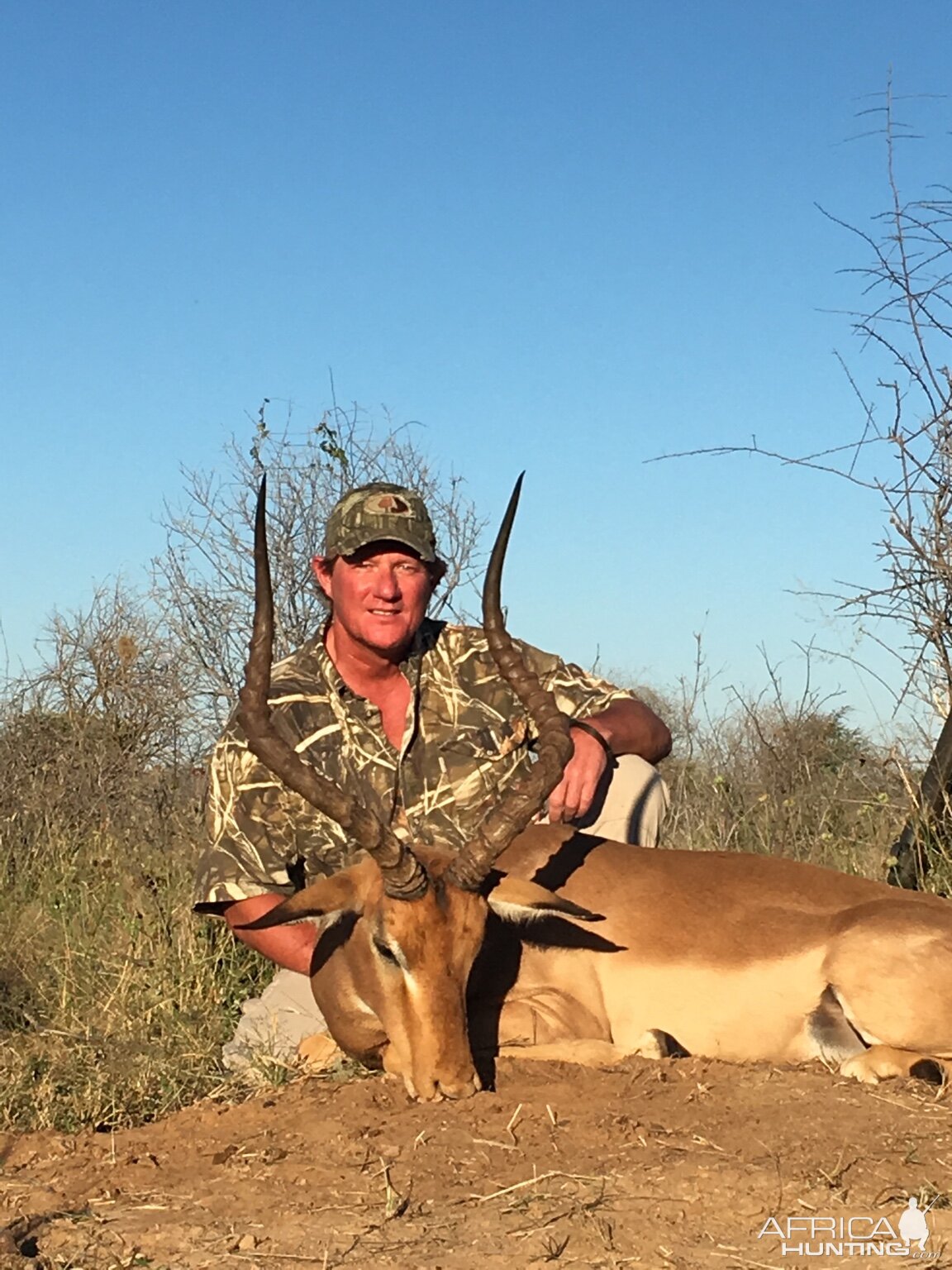 Botswana Hunt Impala