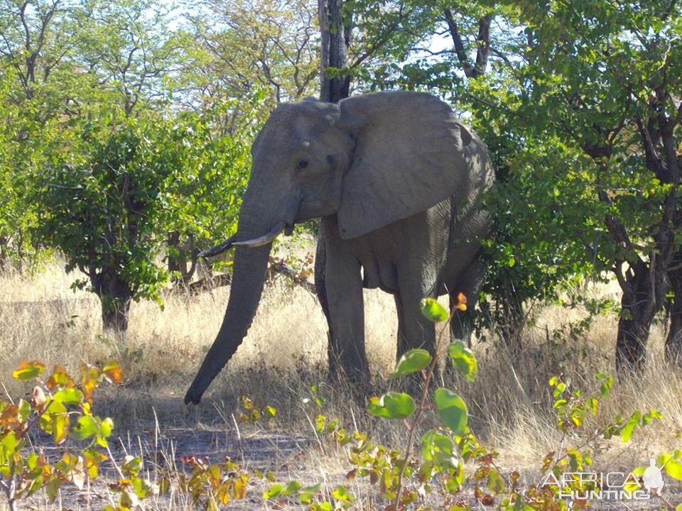 Botswana