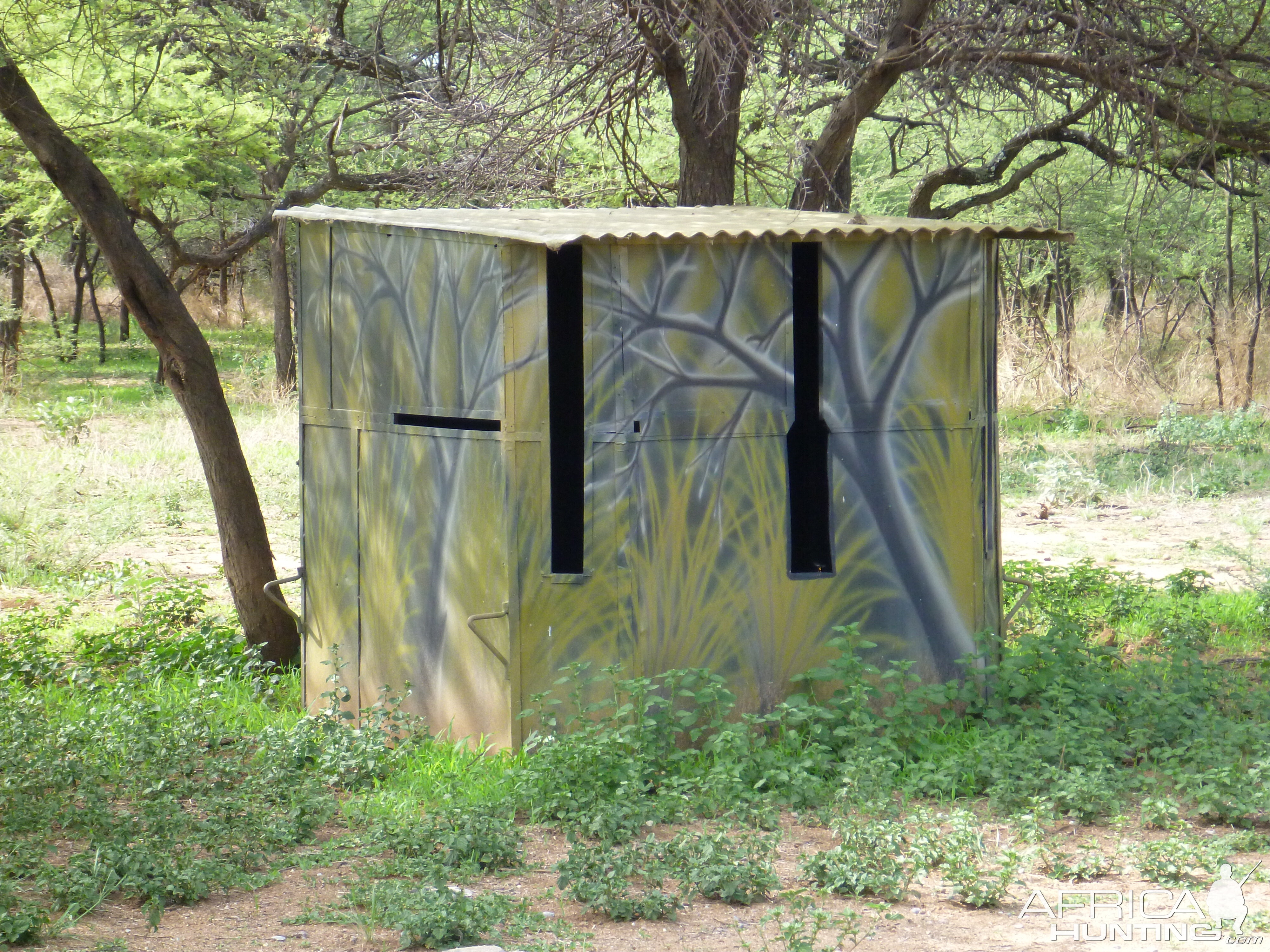 Bow Blind Namibia