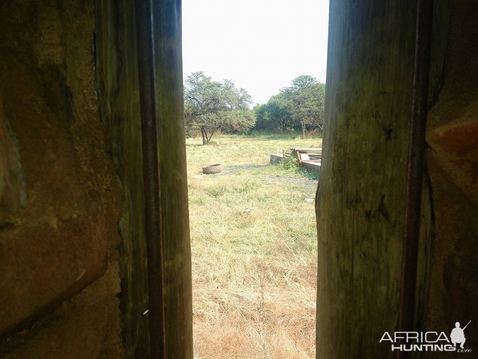 Bow Blind View