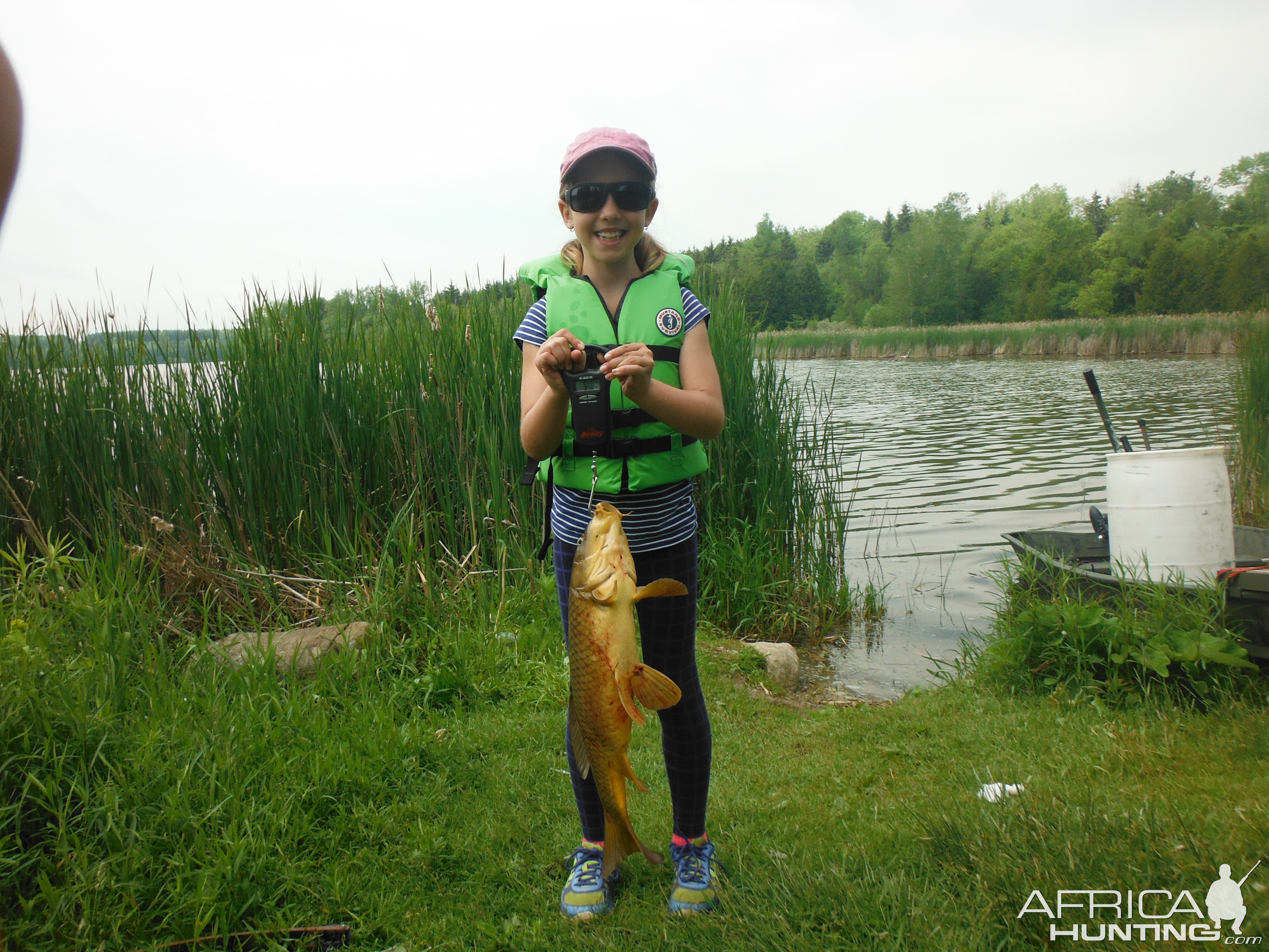 Bow Fishing Carp