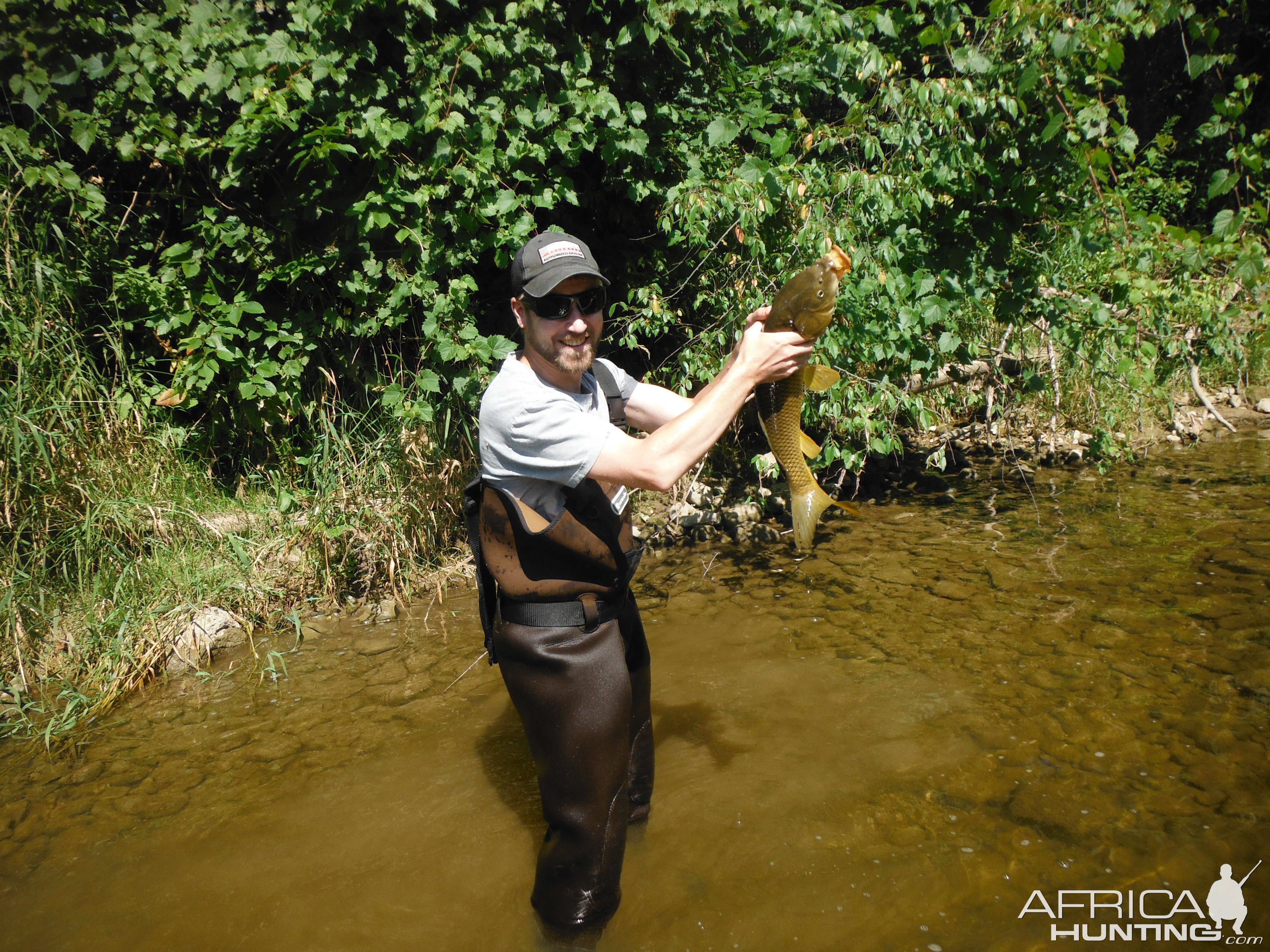 Bow Fishing Carp