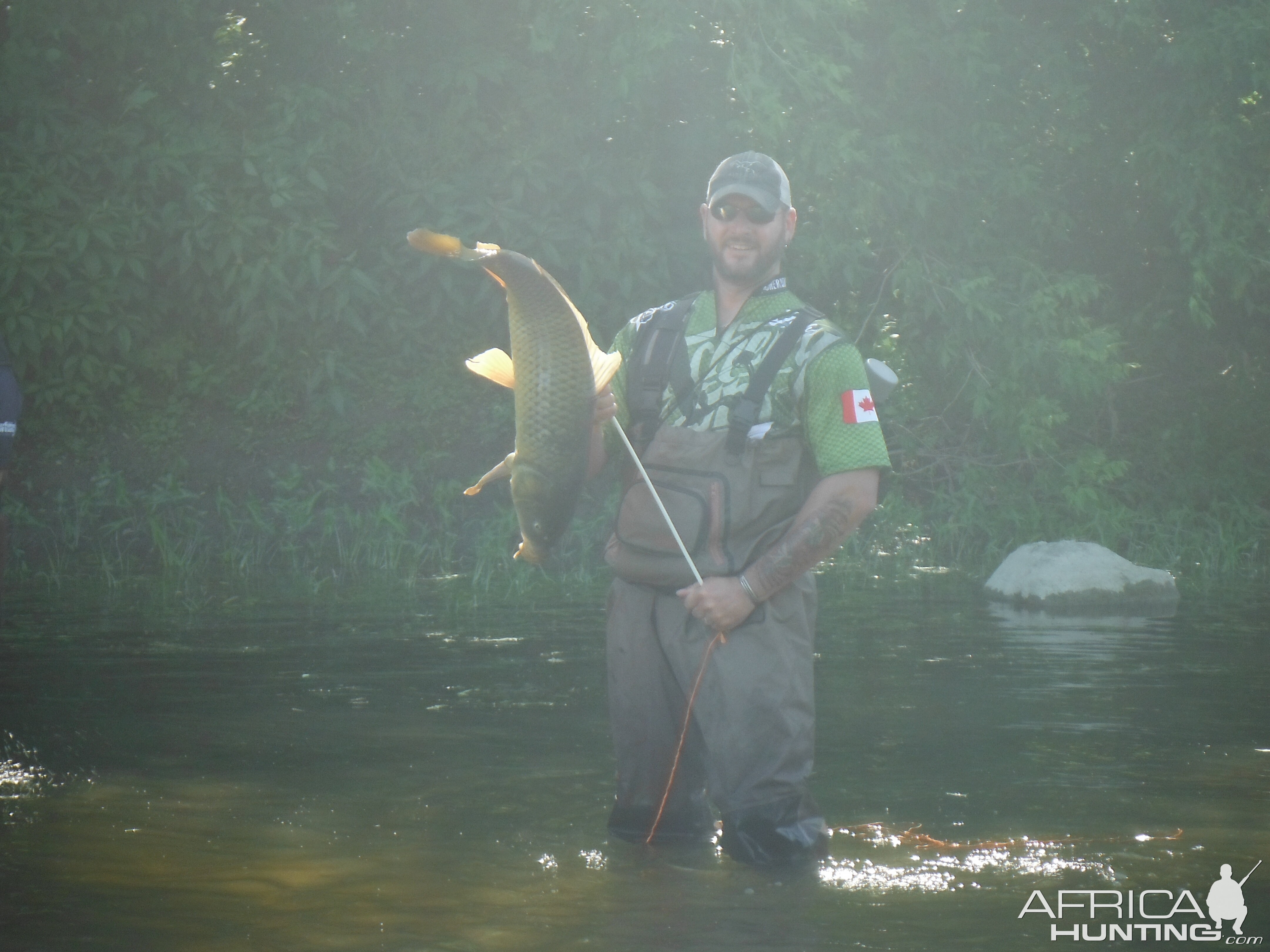 Bow Fishing Carp