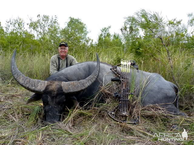 Bow Hunt Asiatic Water Buffalo in Australia