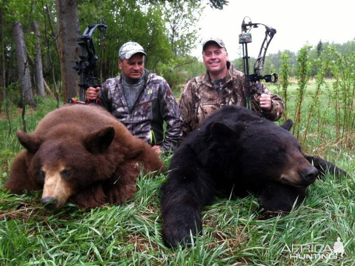 Bow Hunt Bear in Saskatchewan Canada