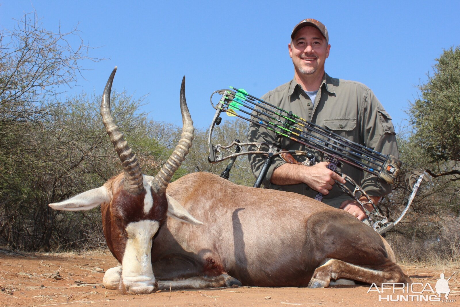 Bow Hunt Blesbok in South Africa